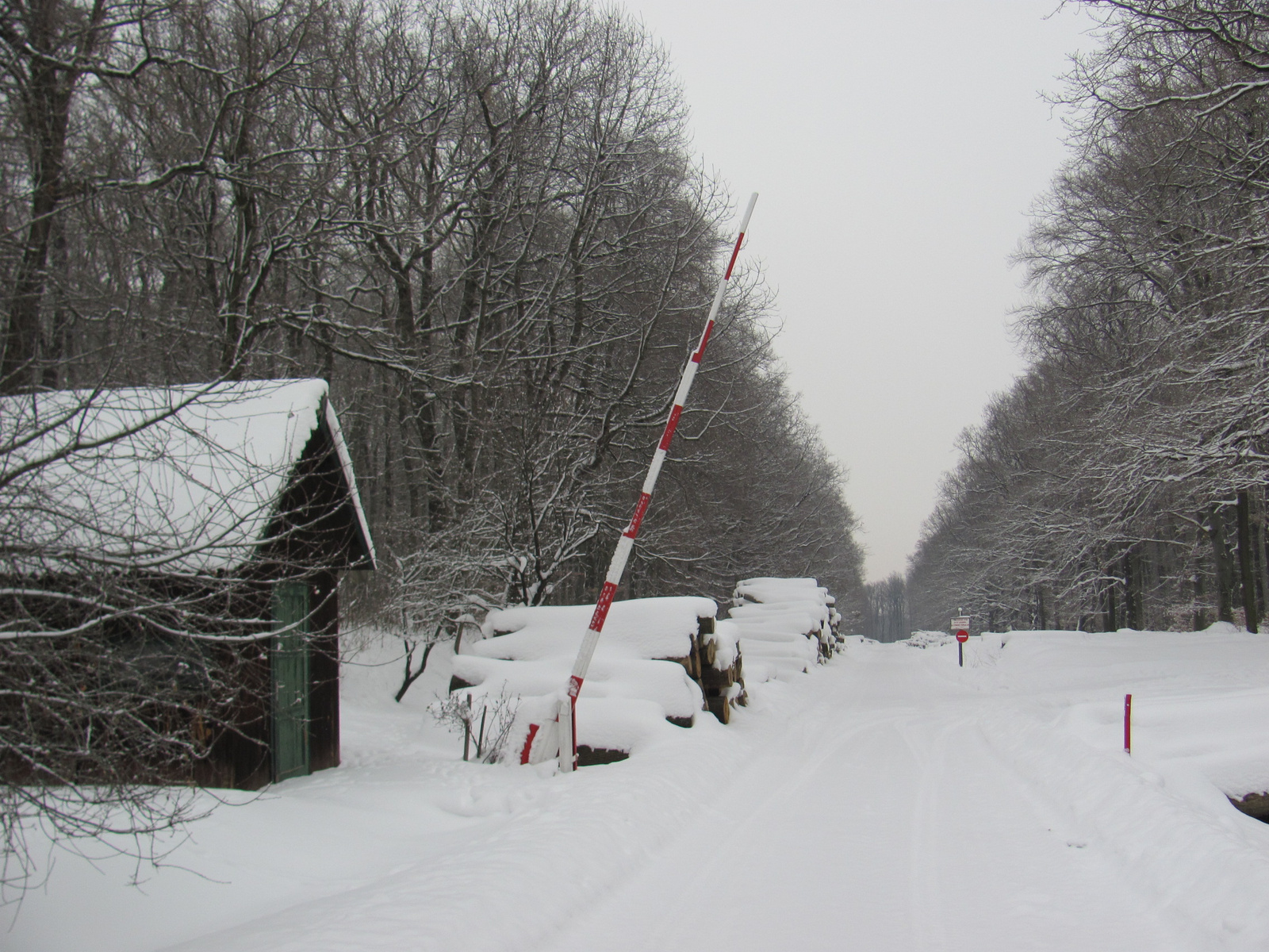 2012.02.11.Mecseknádasd Nyílt túra bejárás 015