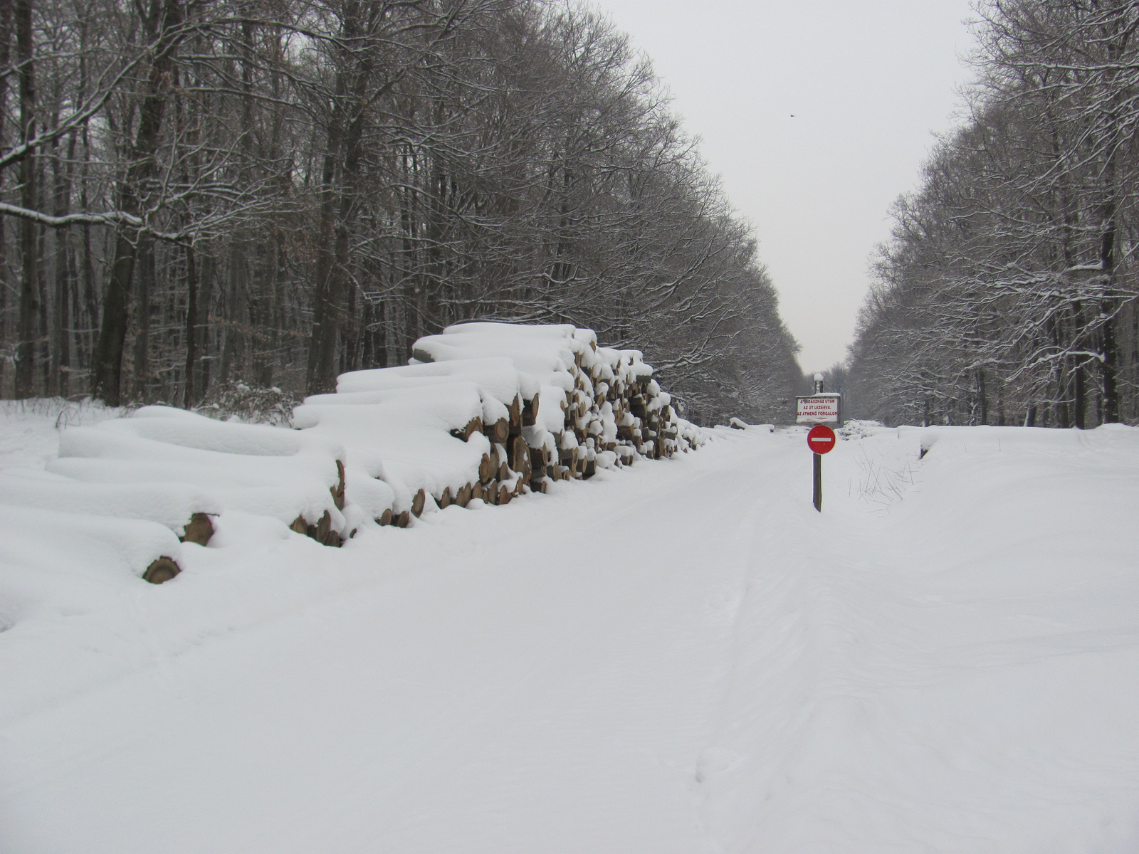 2012.02.11.Mecseknádasd Nyílt túra bejárás 017