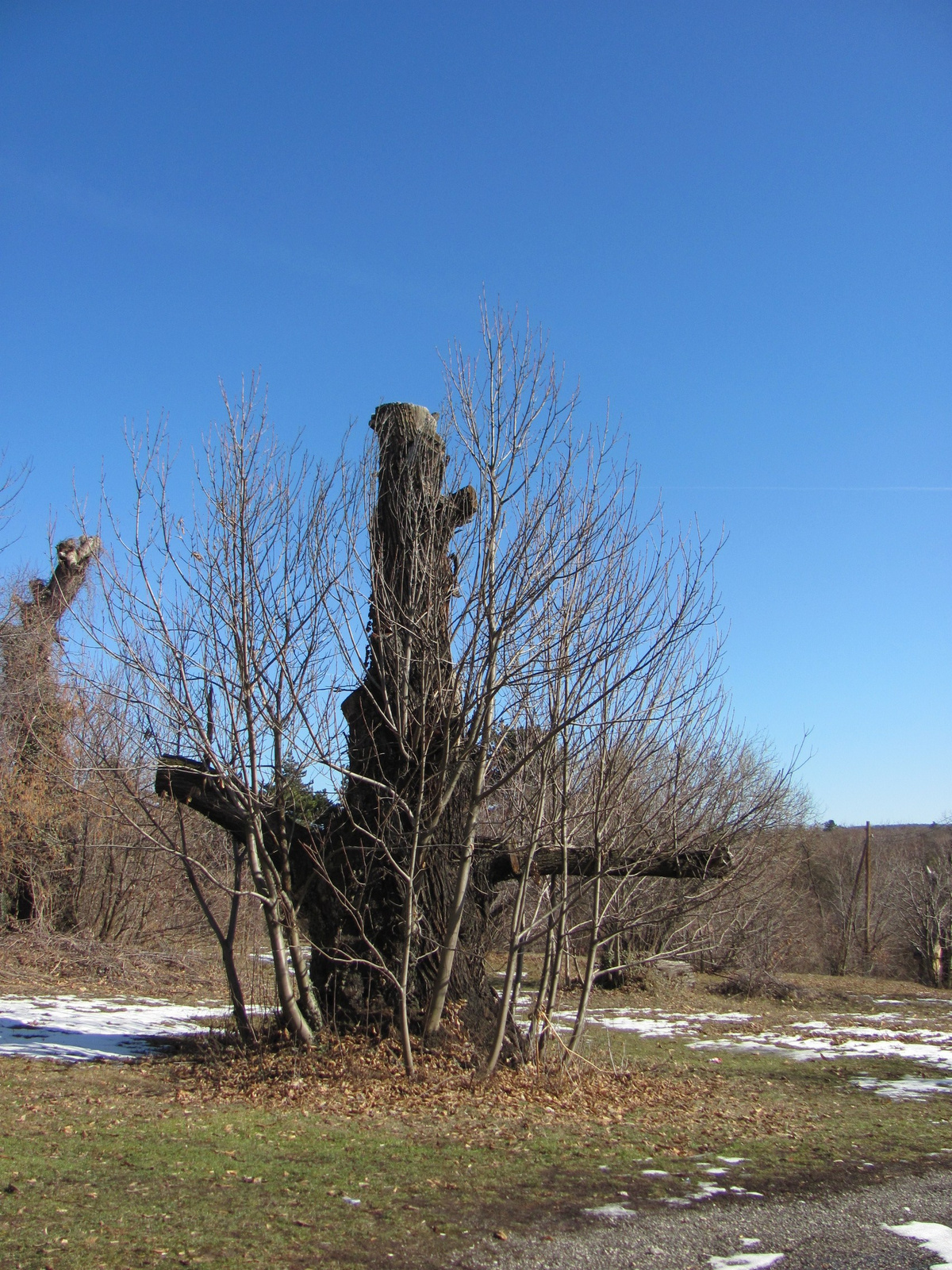 2012.02.25. Bányász I. Nyílttúra 048