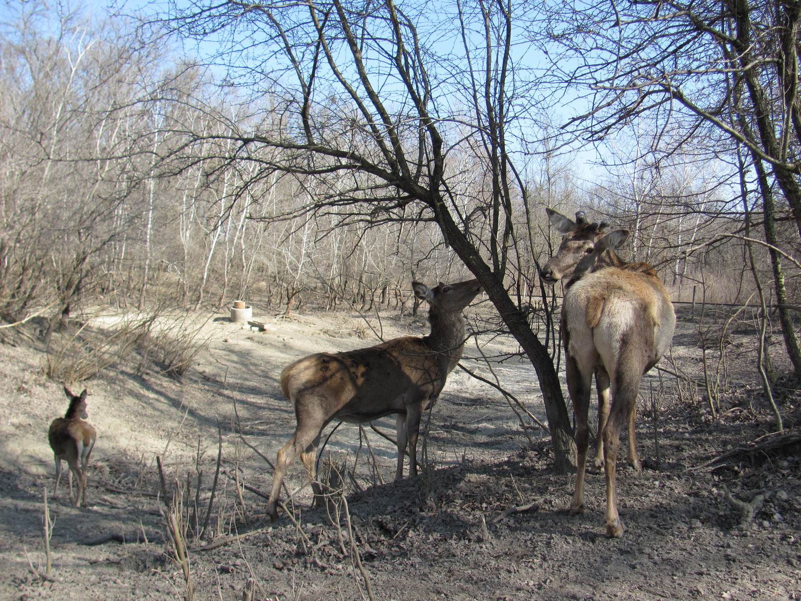 2012.03.16.Gemenc bicaj 077