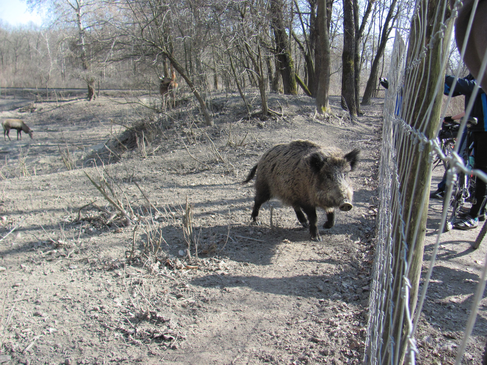 2012.03.16.Gemenc bicaj 086