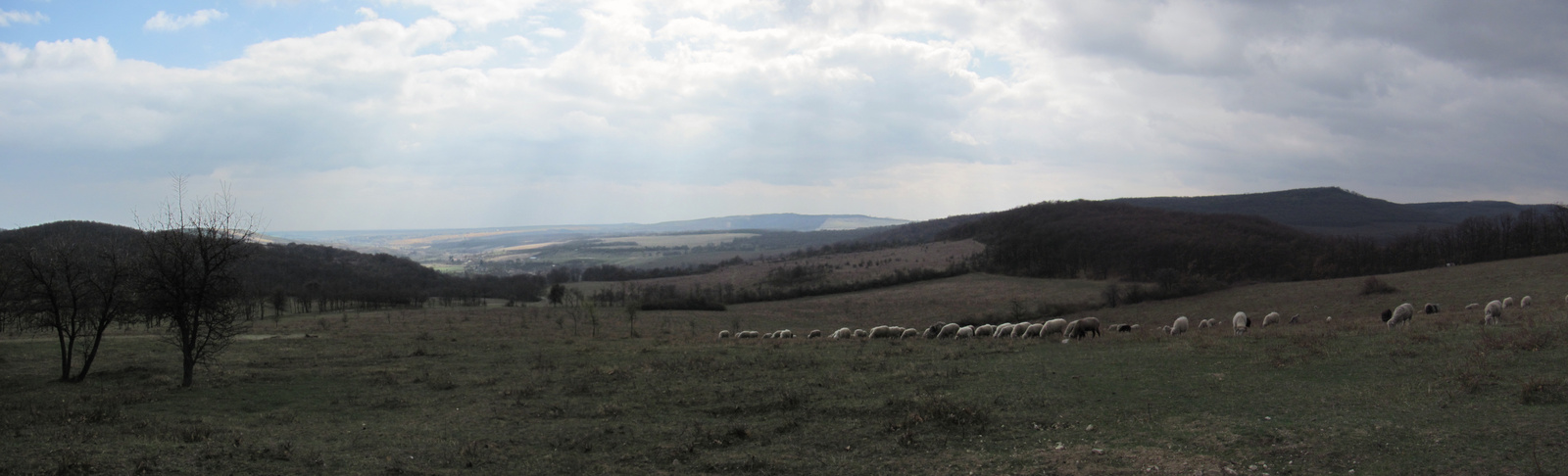 2012.03.31.Bér-Virágos puszta