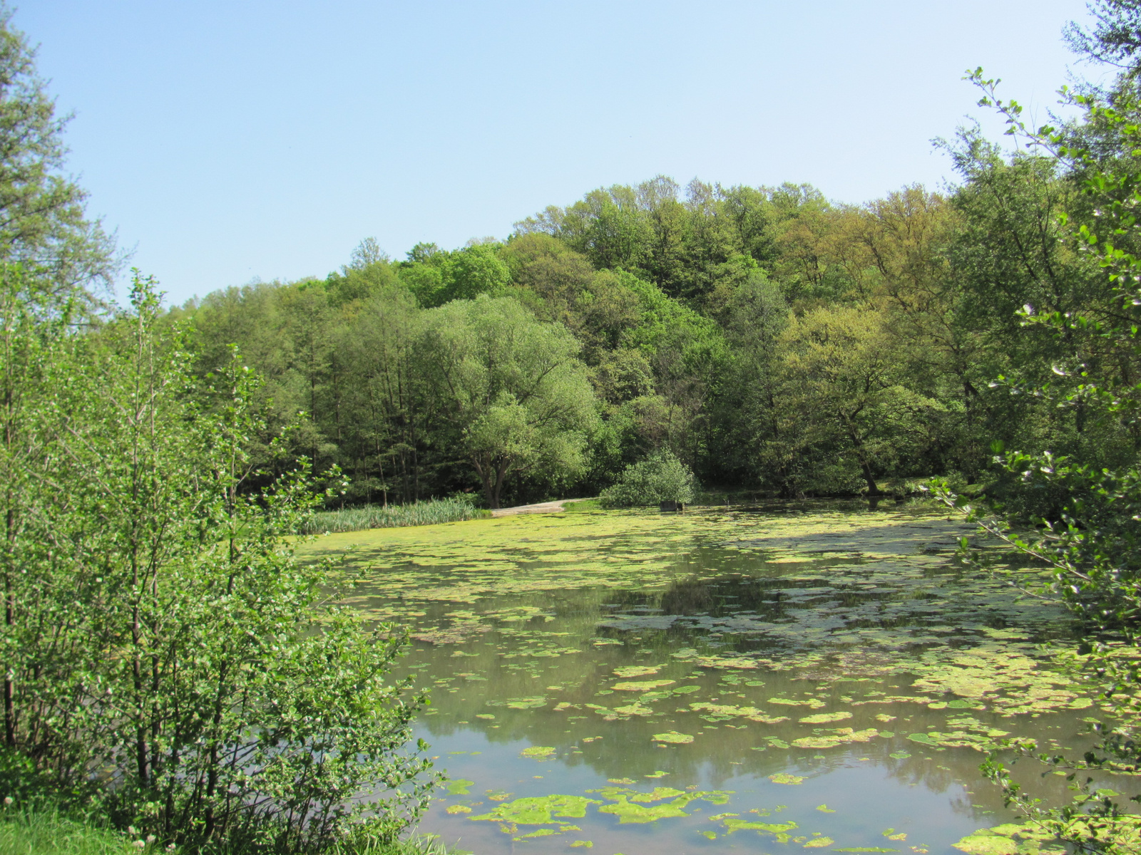 2012.04.30.Mecsek 30 Teljesítménytúra 059