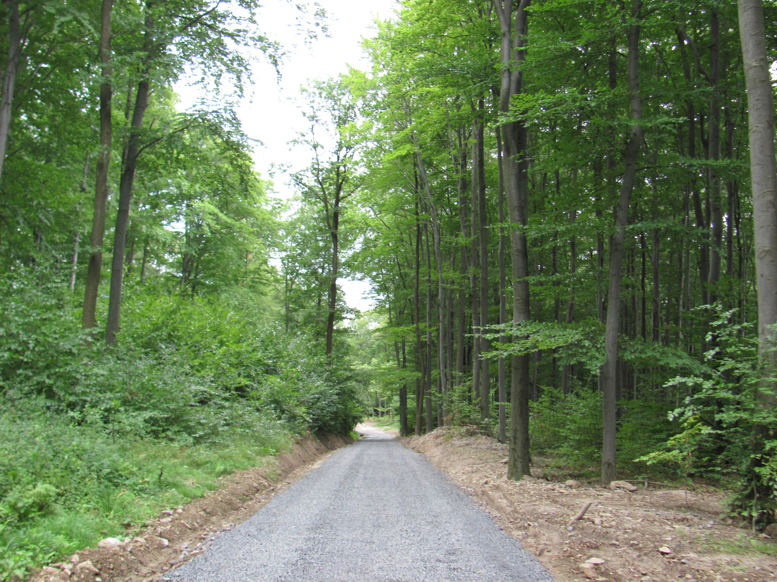 2012.08.13.Füzér-Nagy Milic-Füzér (71)