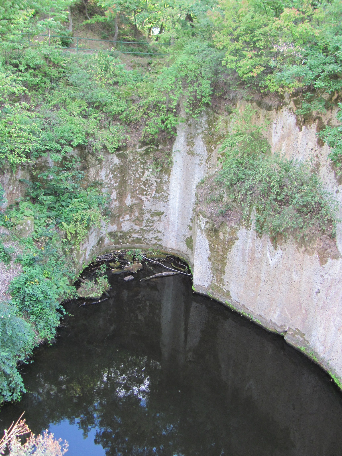 2012.08.13.Sárospatak-Megyer hegy... (6)