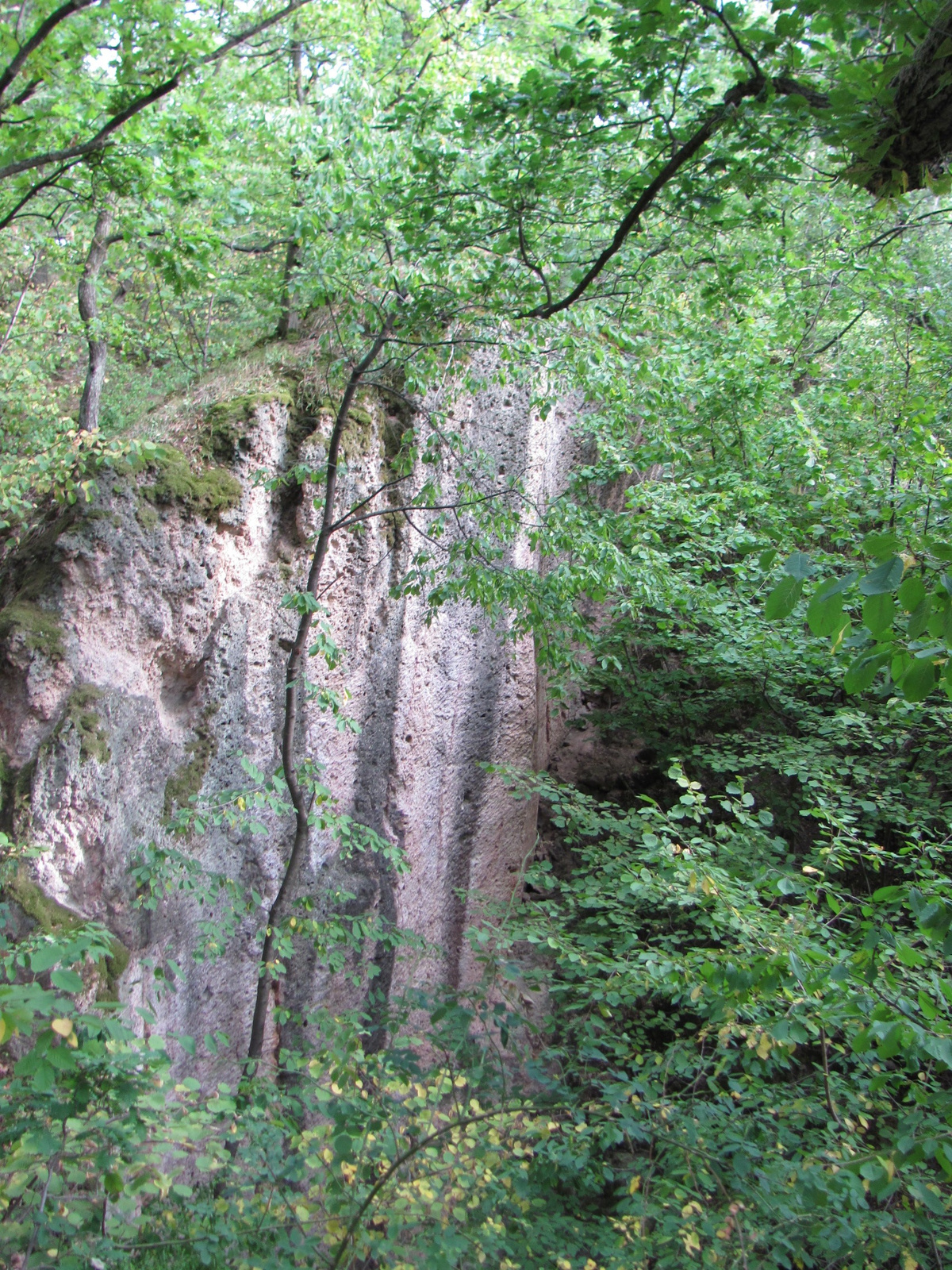 2012.08.13.Sárospatak-Megyer hegy... (14)