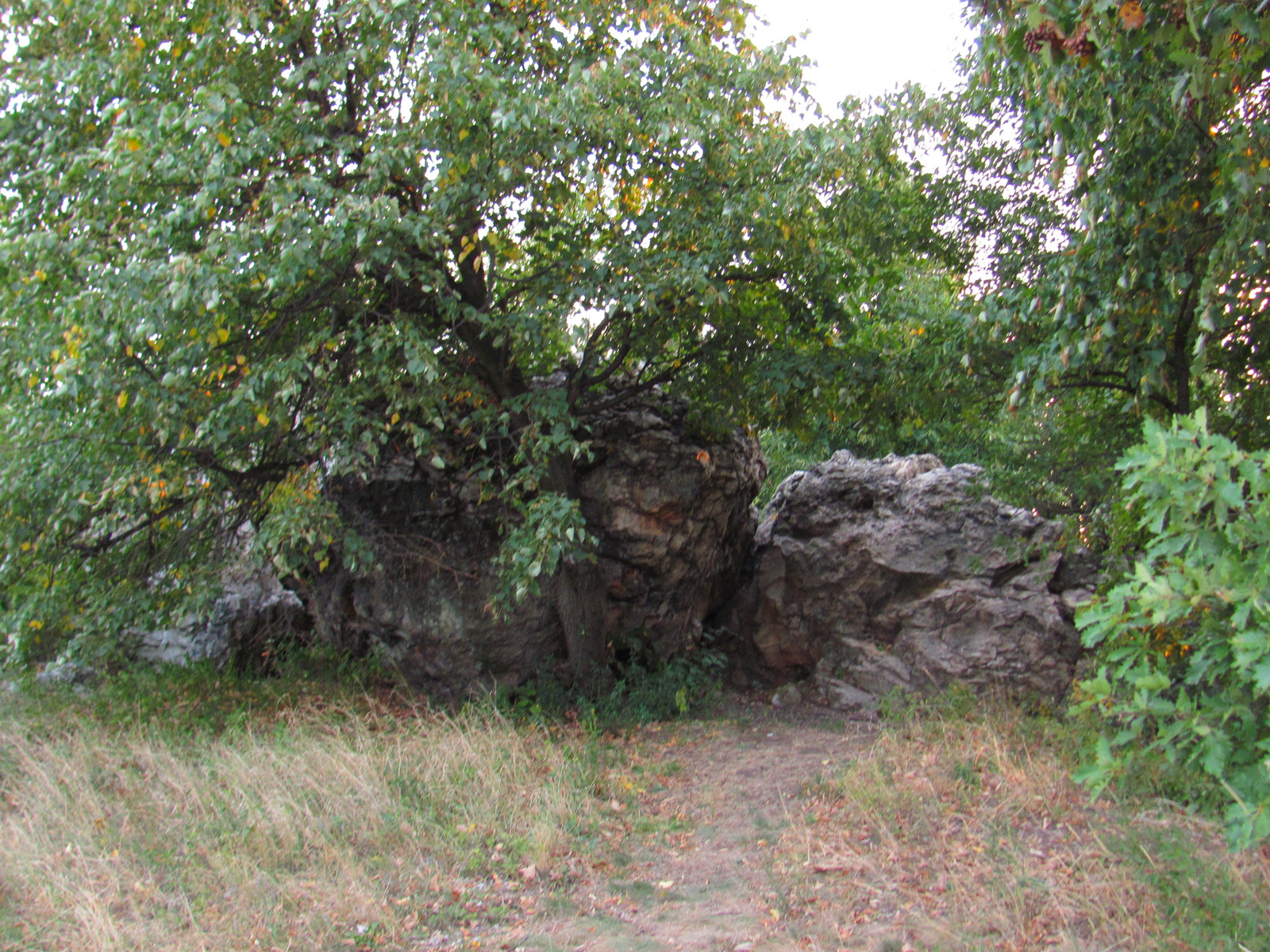 2012.08.13.Sárospatak-Megyer hegy... (45)