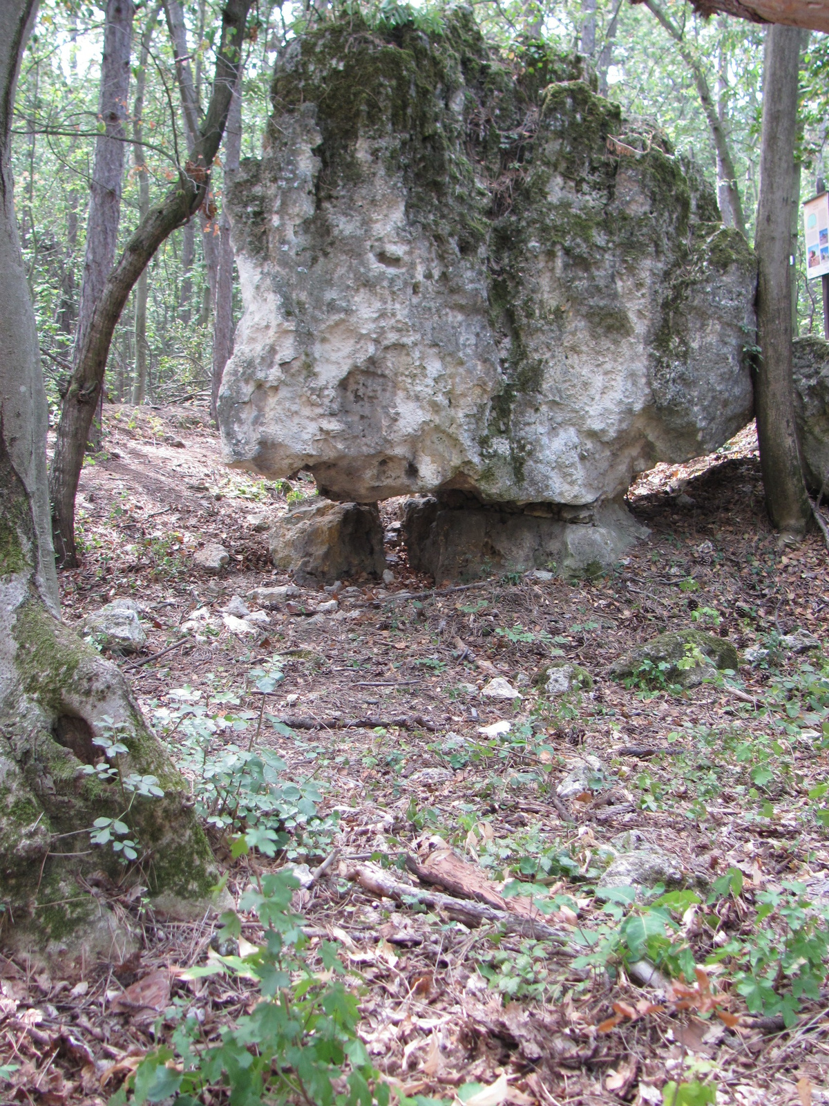 2012.09.11.Tihanyi félsziget