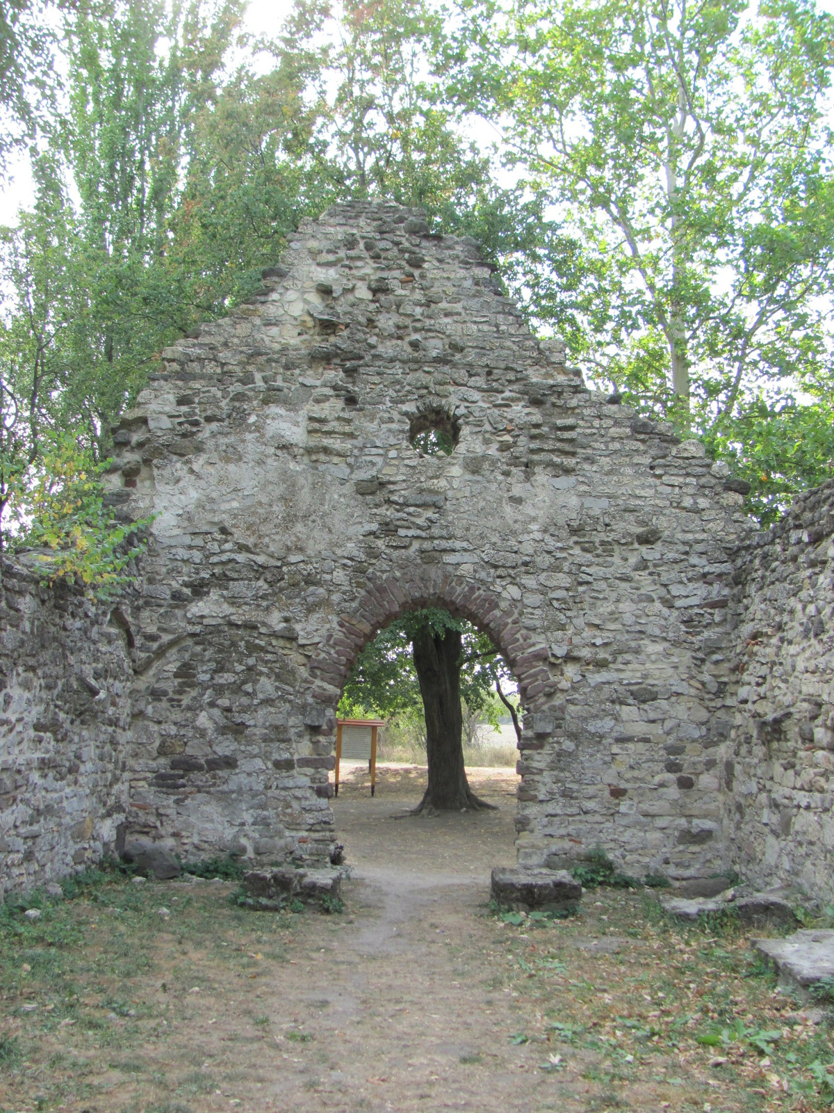 2012.09.11. Kövesdi templomrom. Aszófő