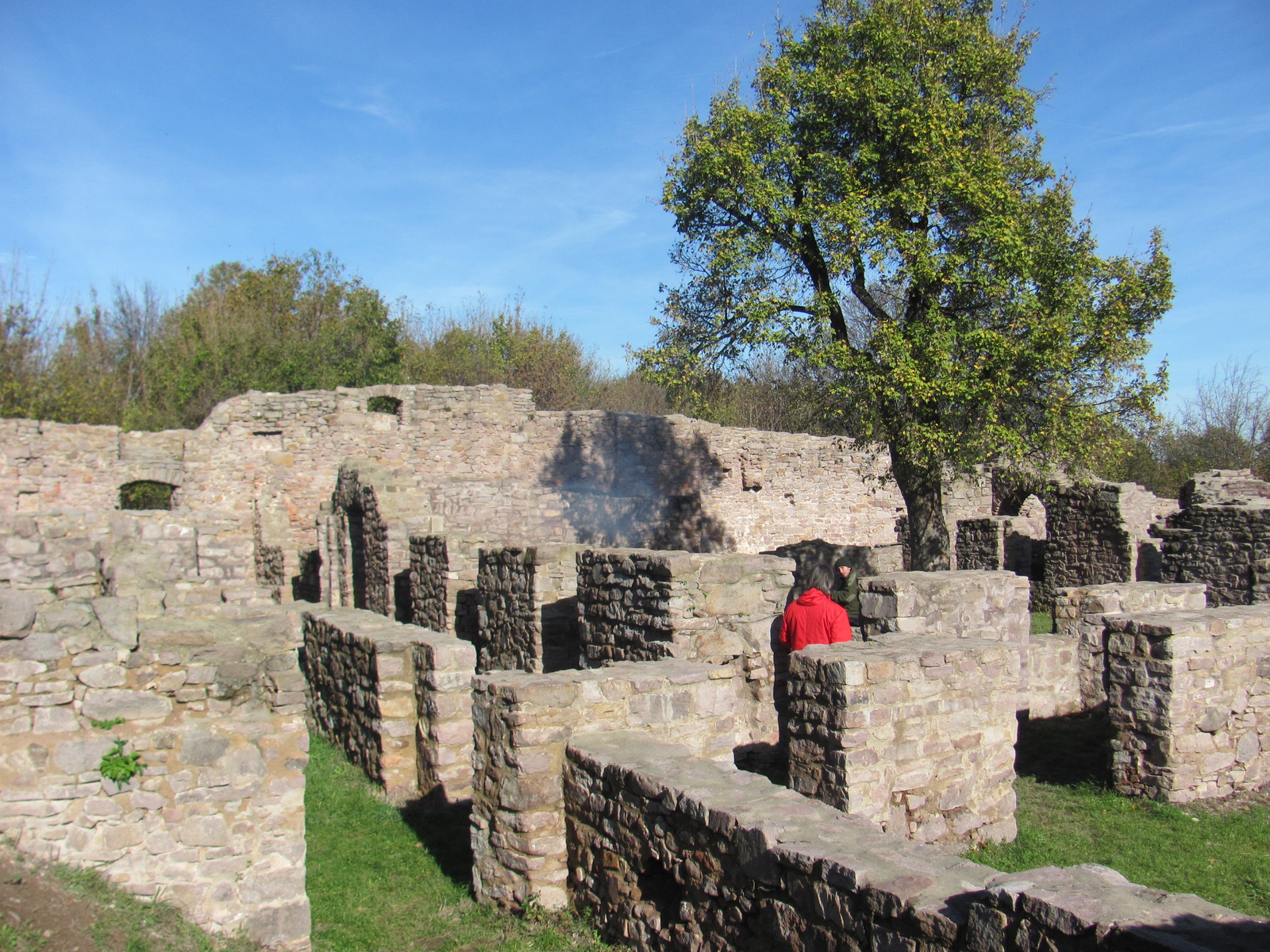 2012.11.04.Fel a Jakab hegyre Pécs-Kővágószőlős 077