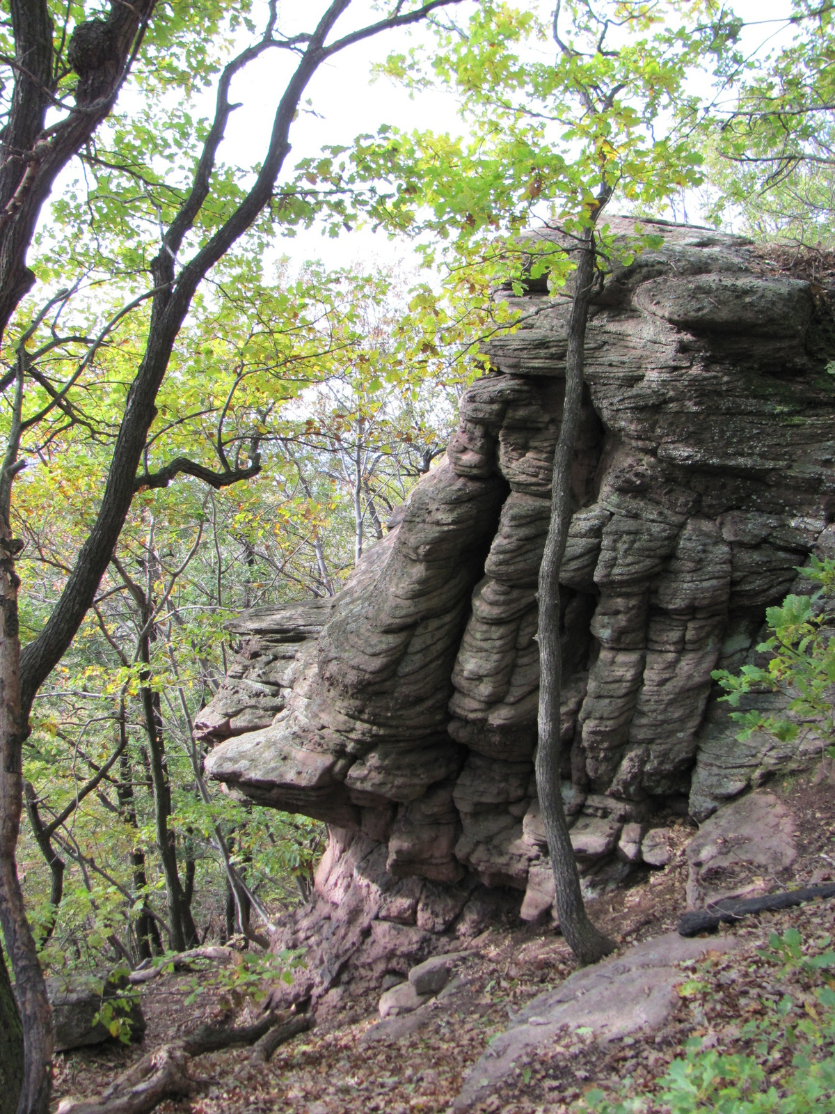 2012.11.04.Fel a Jakab hegyre Pécs-Kővágószőlős 140