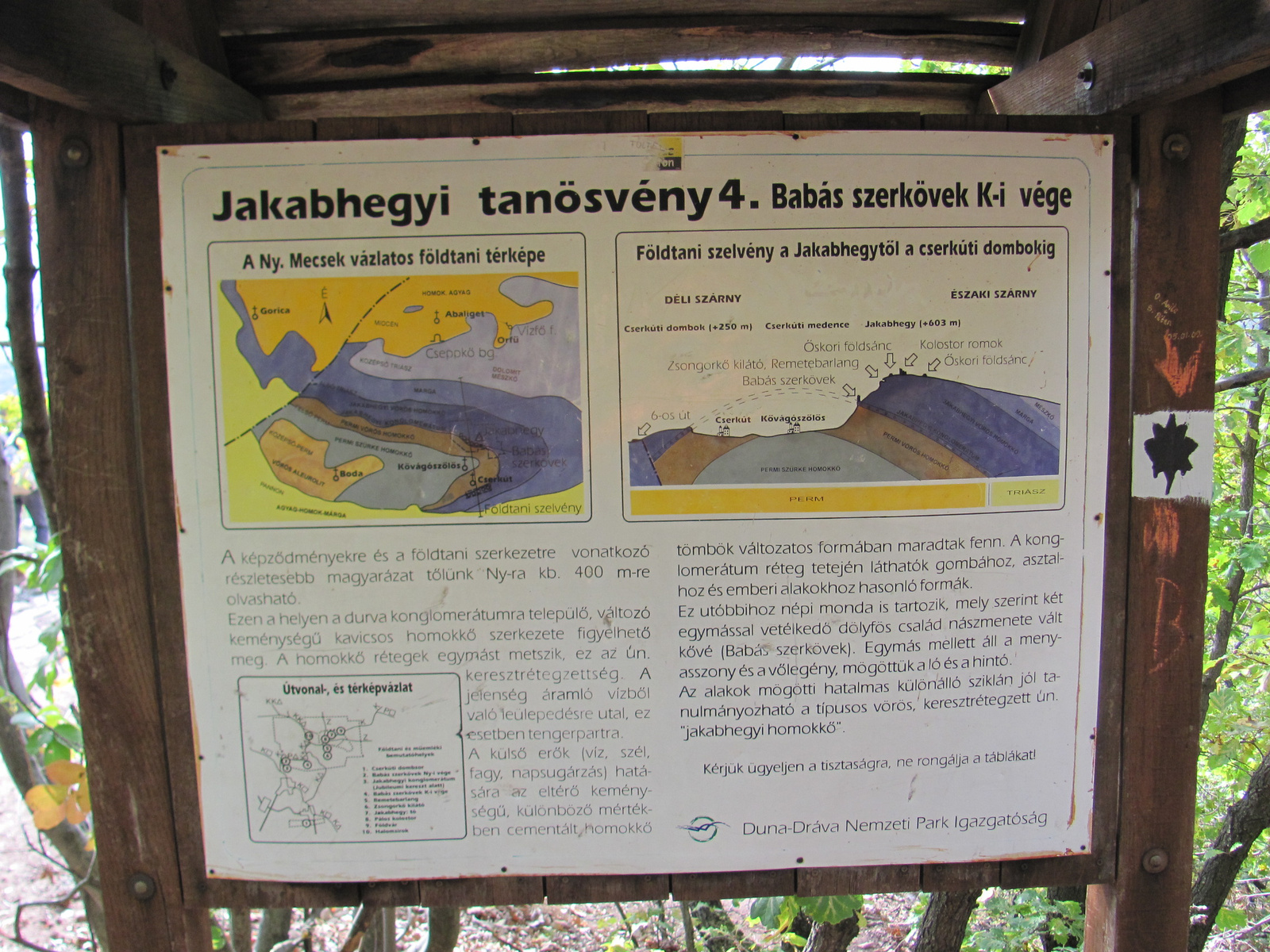 2012.11.04.Fel a Jakab hegyre Pécs-Kővágószőlős 142