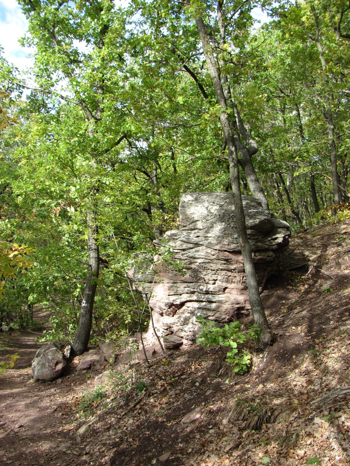 2012.11.04.Fel a Jakab hegyre Pécs-Kővágószőlős 157