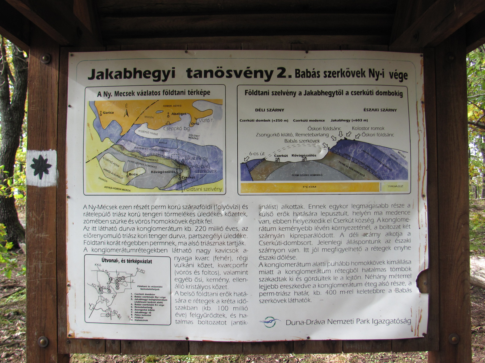 2012.11.04.Fel a Jakab hegyre Pécs-Kővágószőlős 158