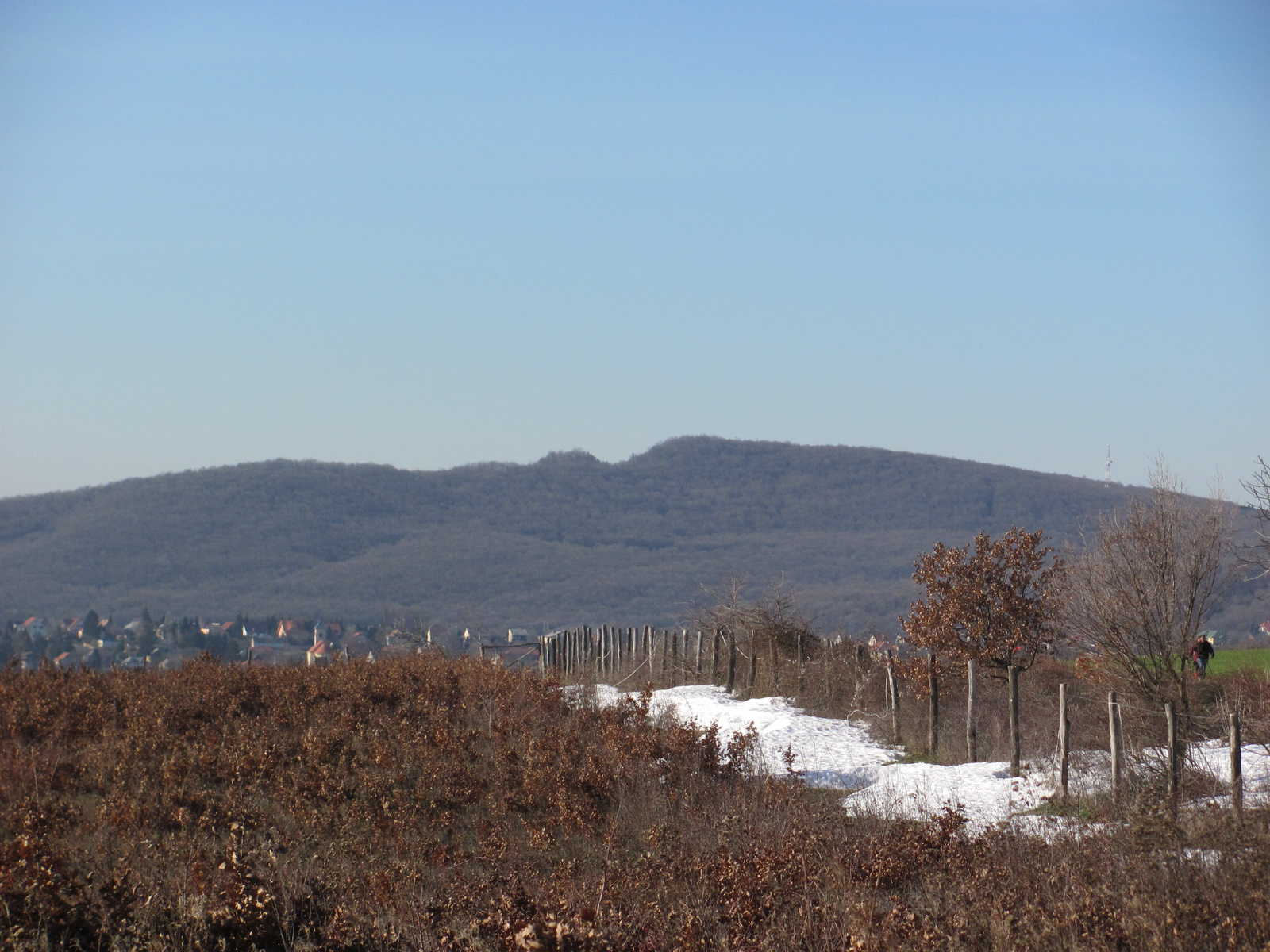 2012.12.29.Dombay tó 25 Teljesitménytúra 059