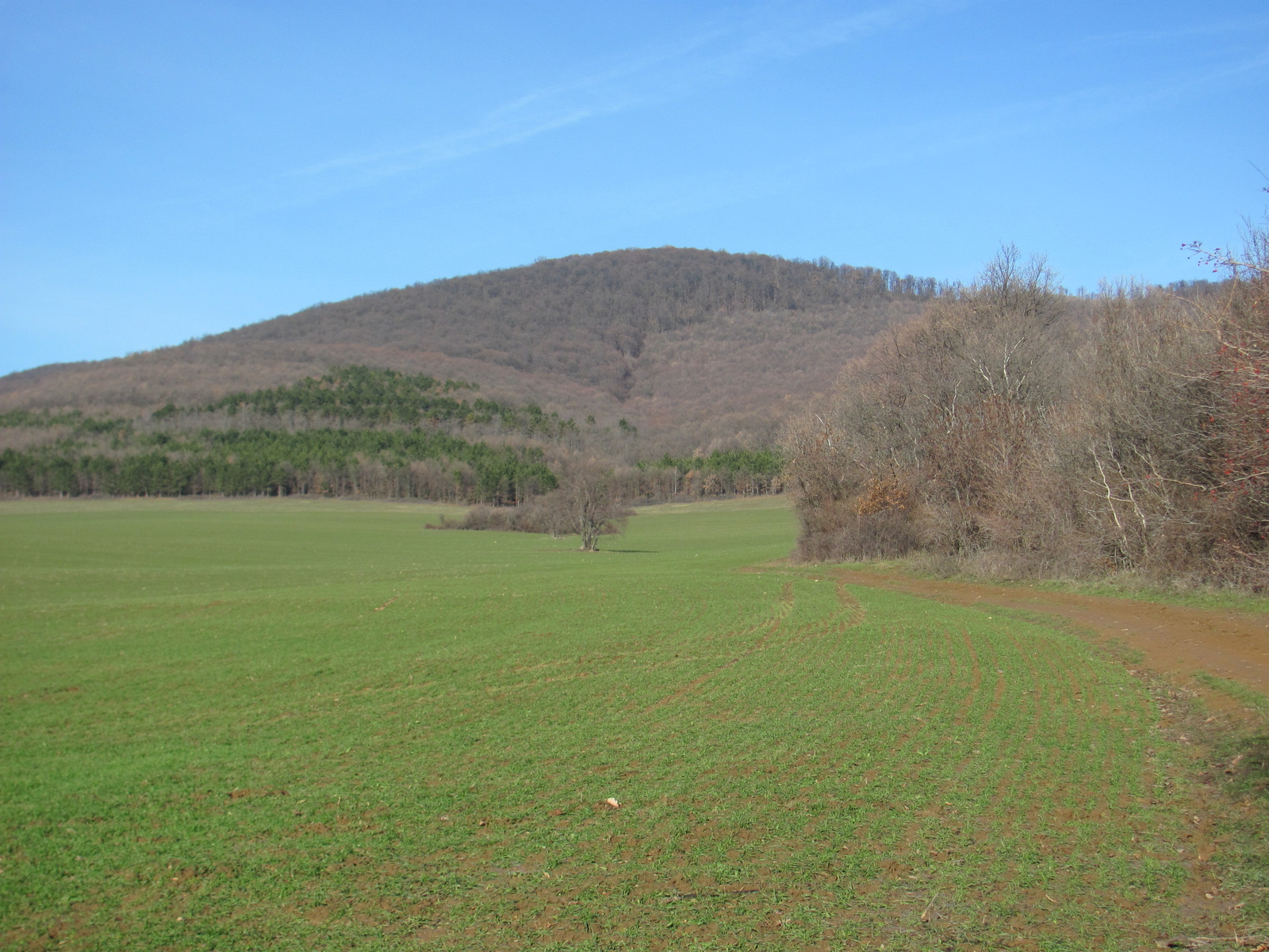 2012.12.29.Dombay tó 25 Teljesitménytúra 058