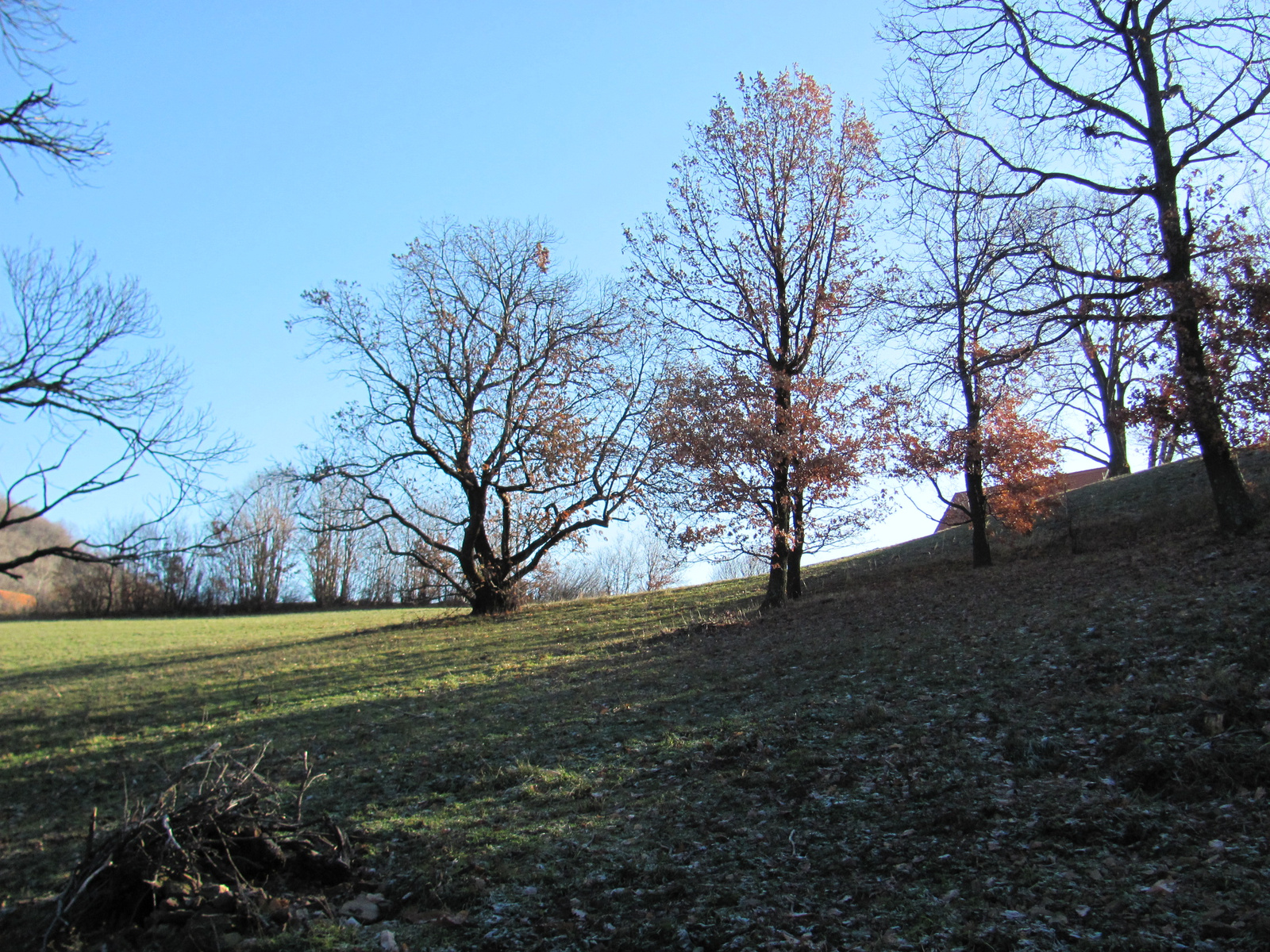 2012.12.30.Zengő túra 020