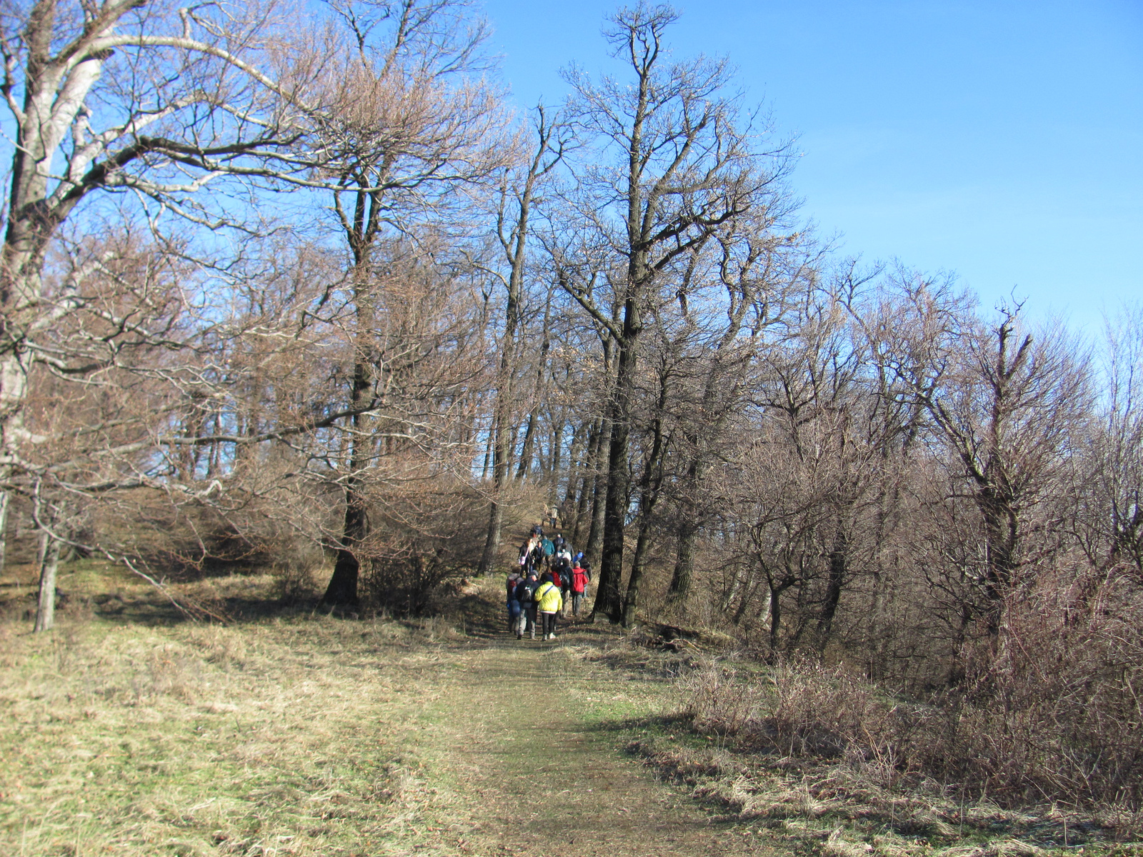 2012.12.30.Zengő túra 038