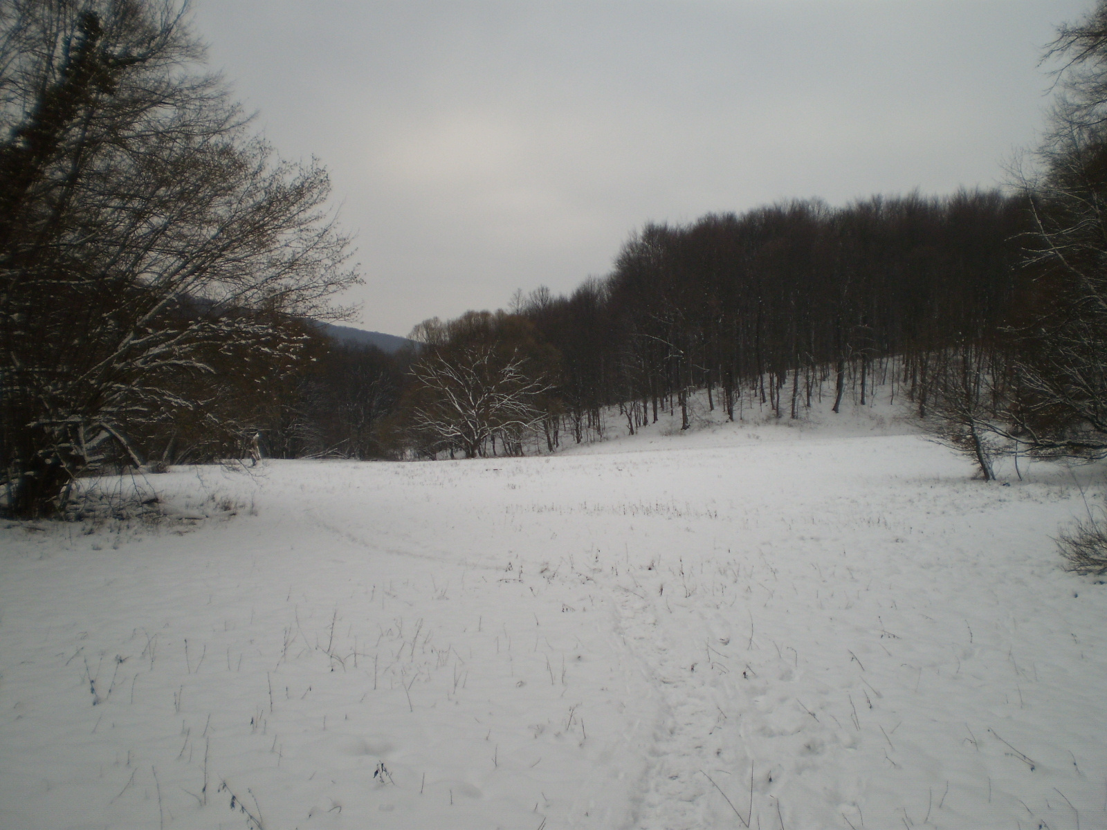 2013.01.26.Pécsvárad-Zobák. 080