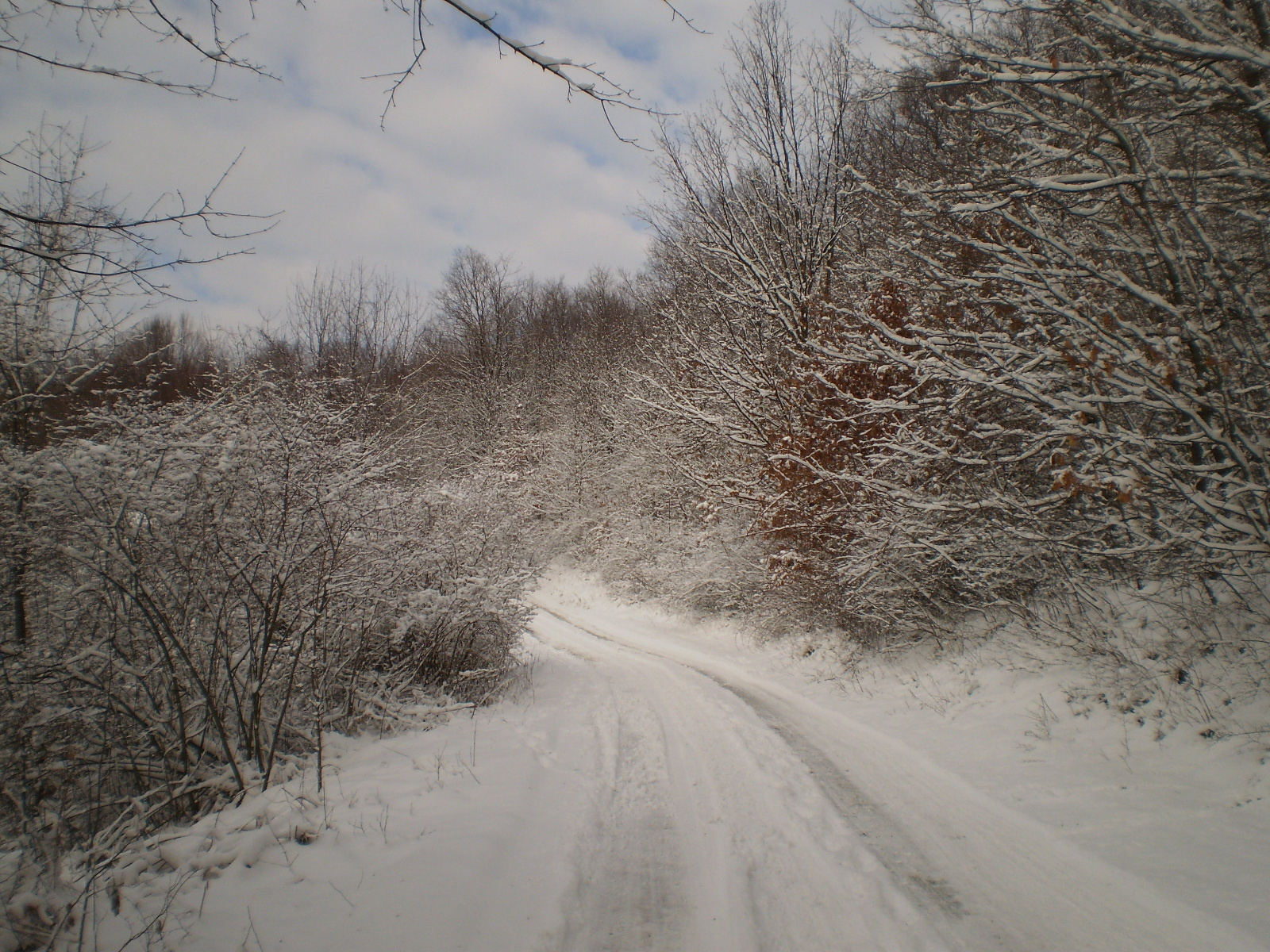 2013.01.26.Pécsvárad-Zobák. 023