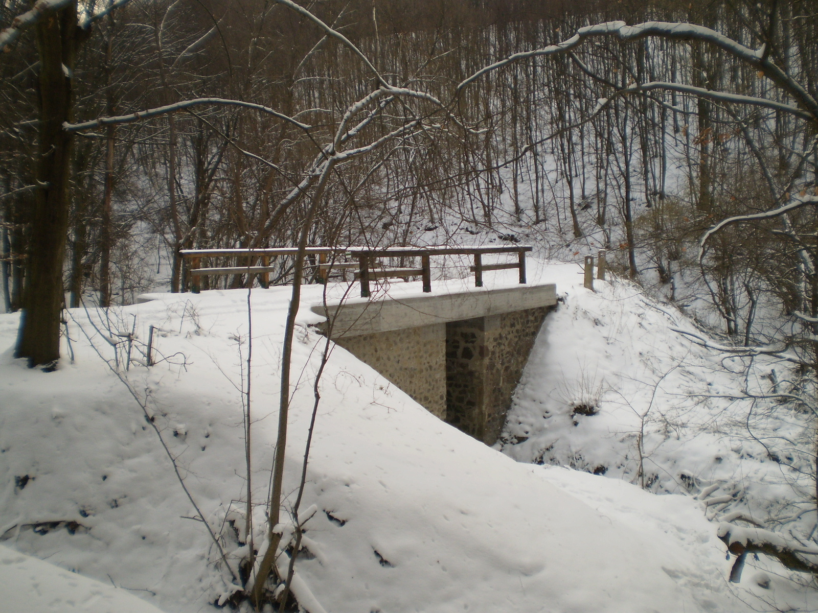 2013.01.26.Pécsvárad-Zobák. 029