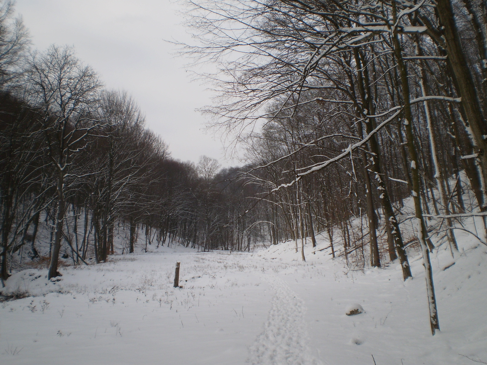 2013.01.26.Pécsvárad-Zobák. 045