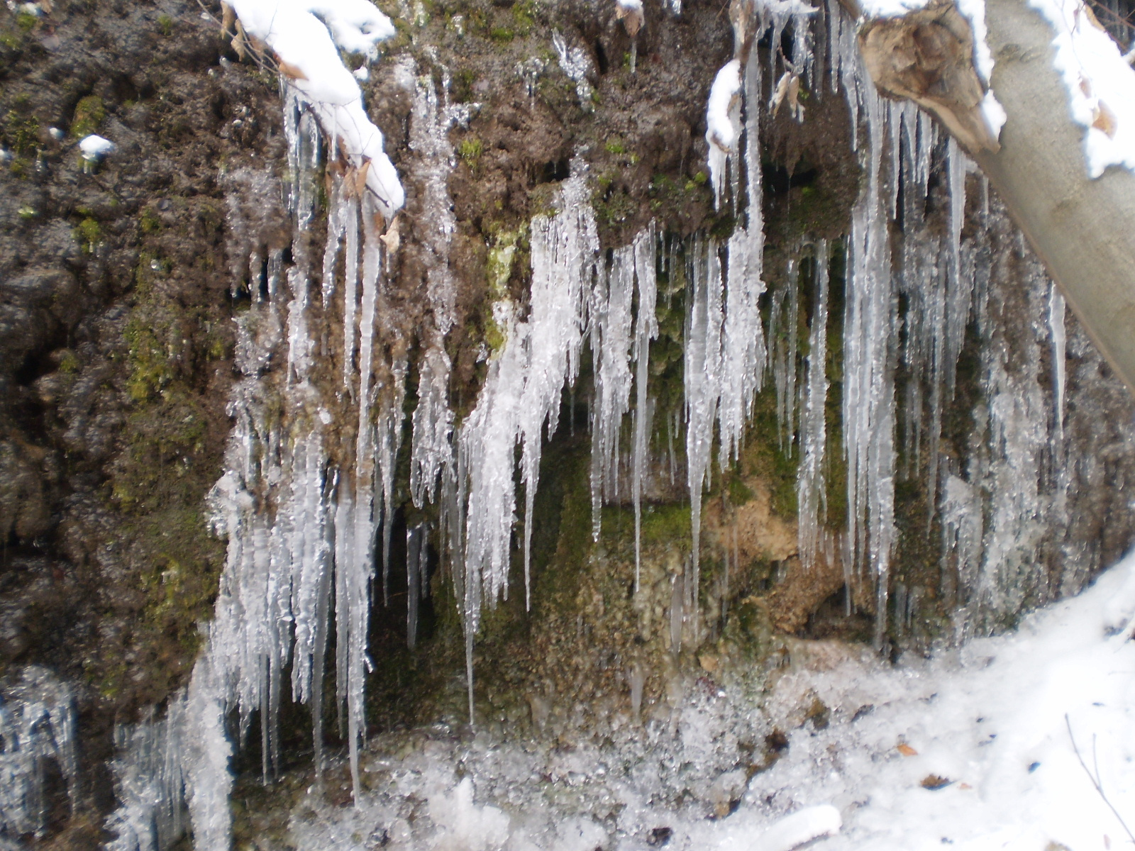 2013.01.26.Pécsvárad-Zobák. 052