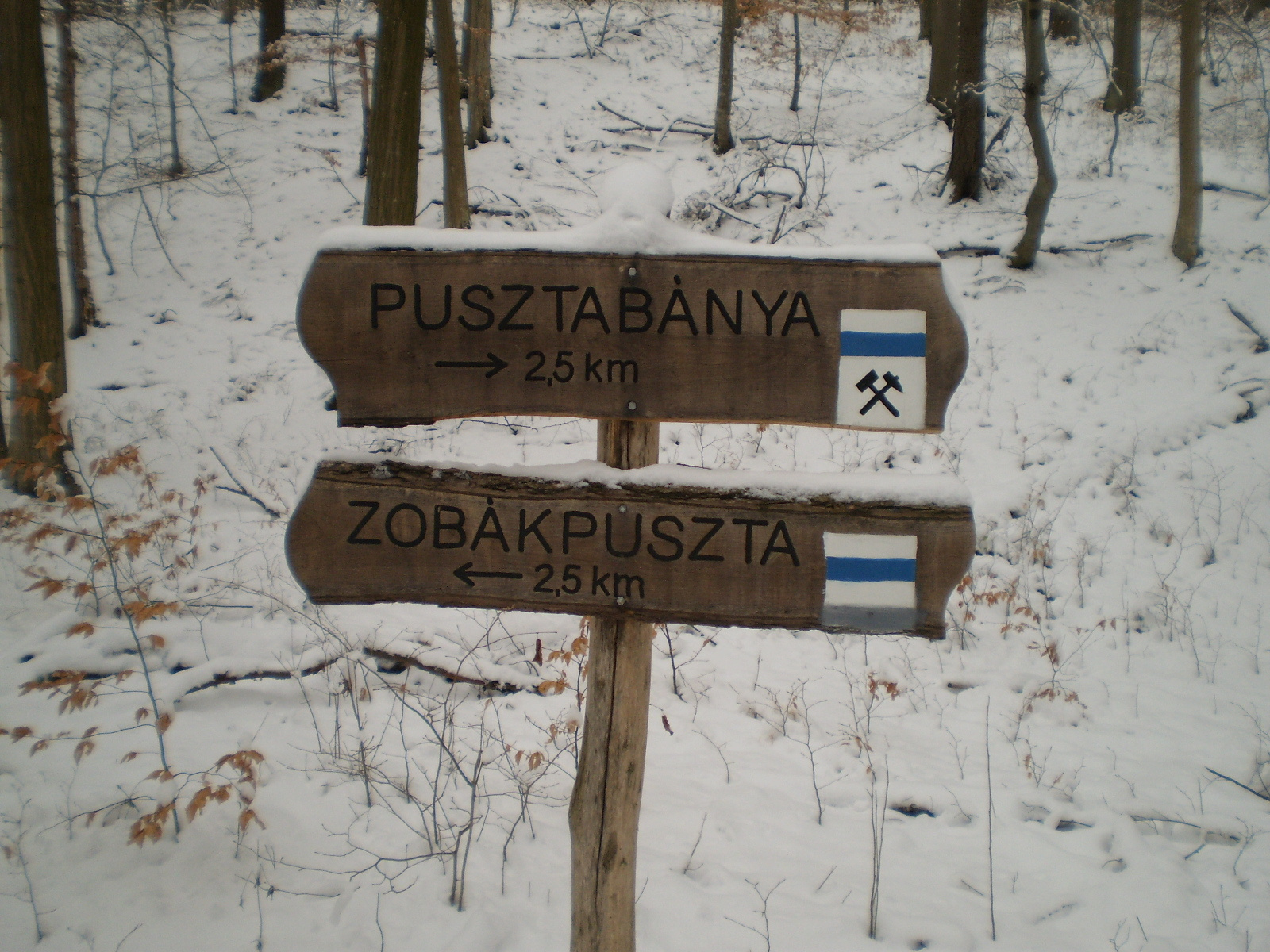 2013.01.26.Pécsvárad-Zobák. 075