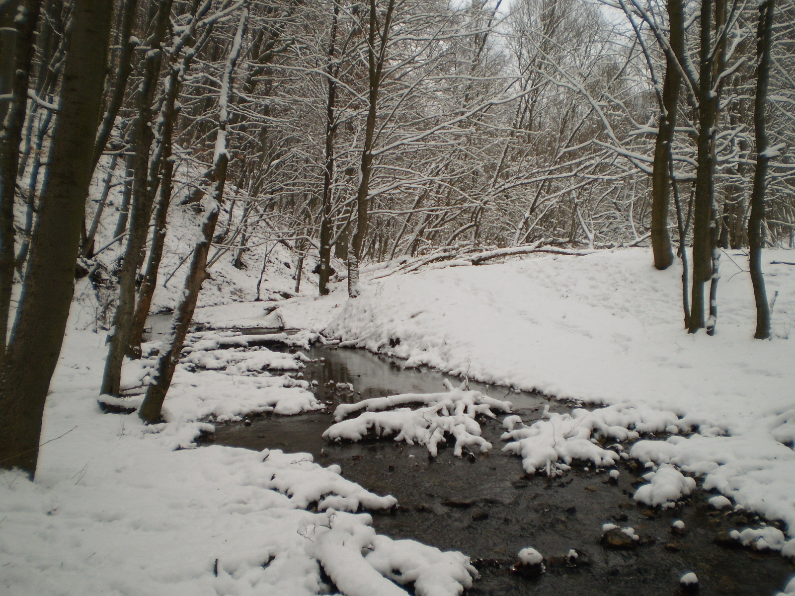 2013.01.26.Pécsvárad-Zobák. 079