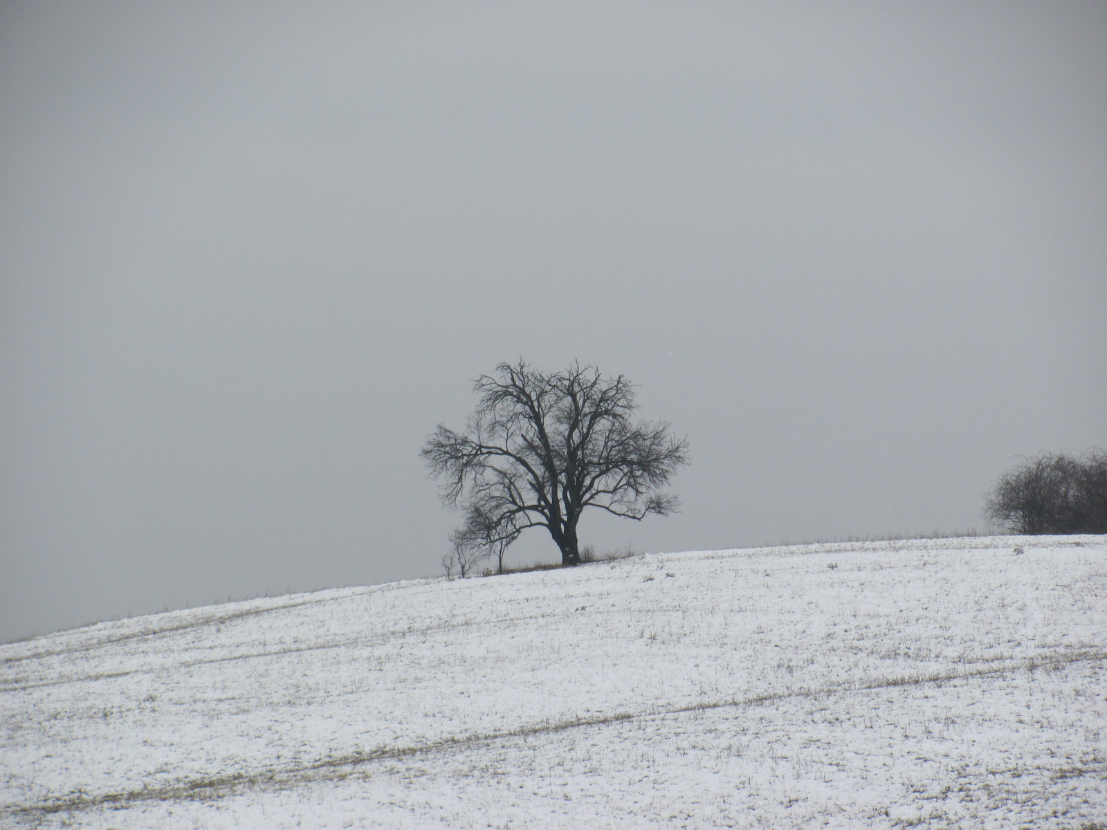 2013.02.09.Abaliget-Éger völgy 013