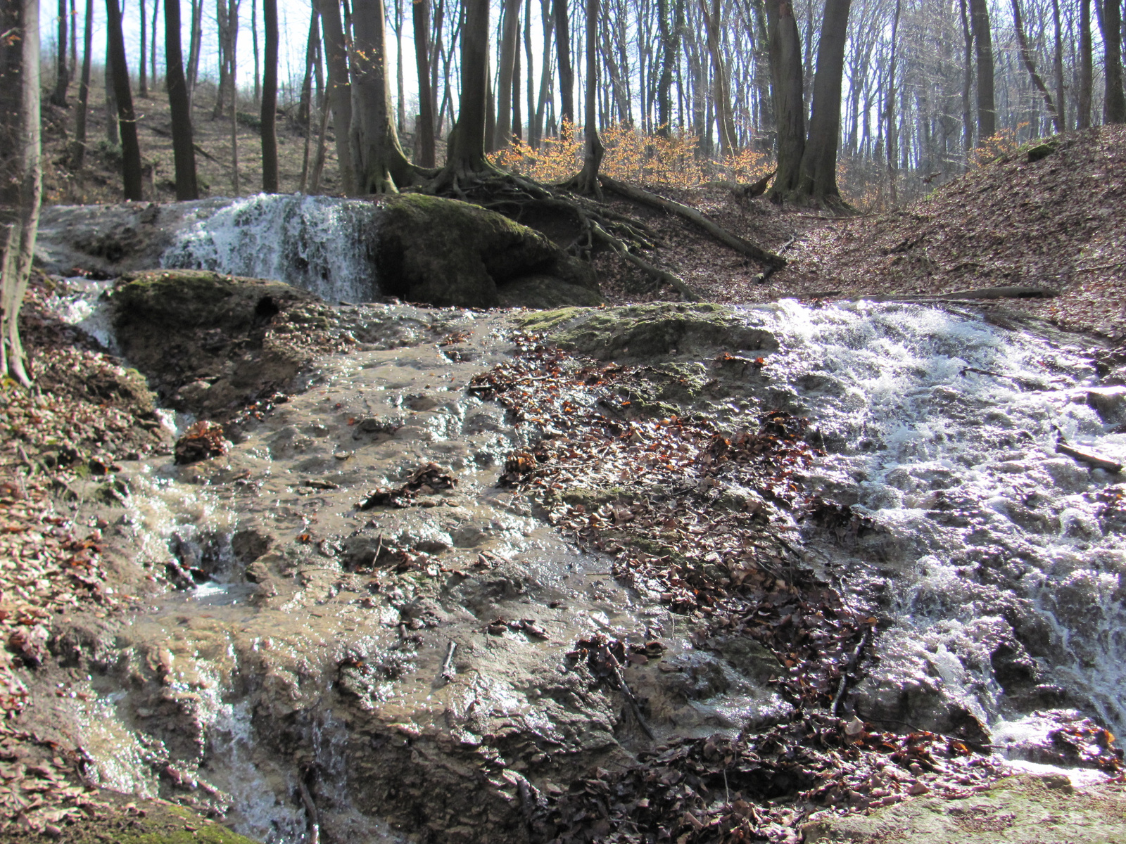 2013.03.02.Melegmány-mély völgy 047