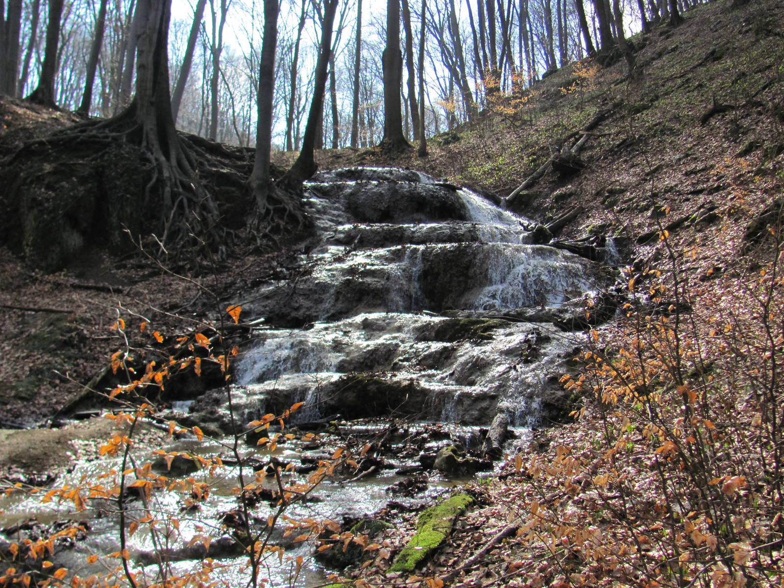 2013.03.02.Melegmány-mély völgy 064