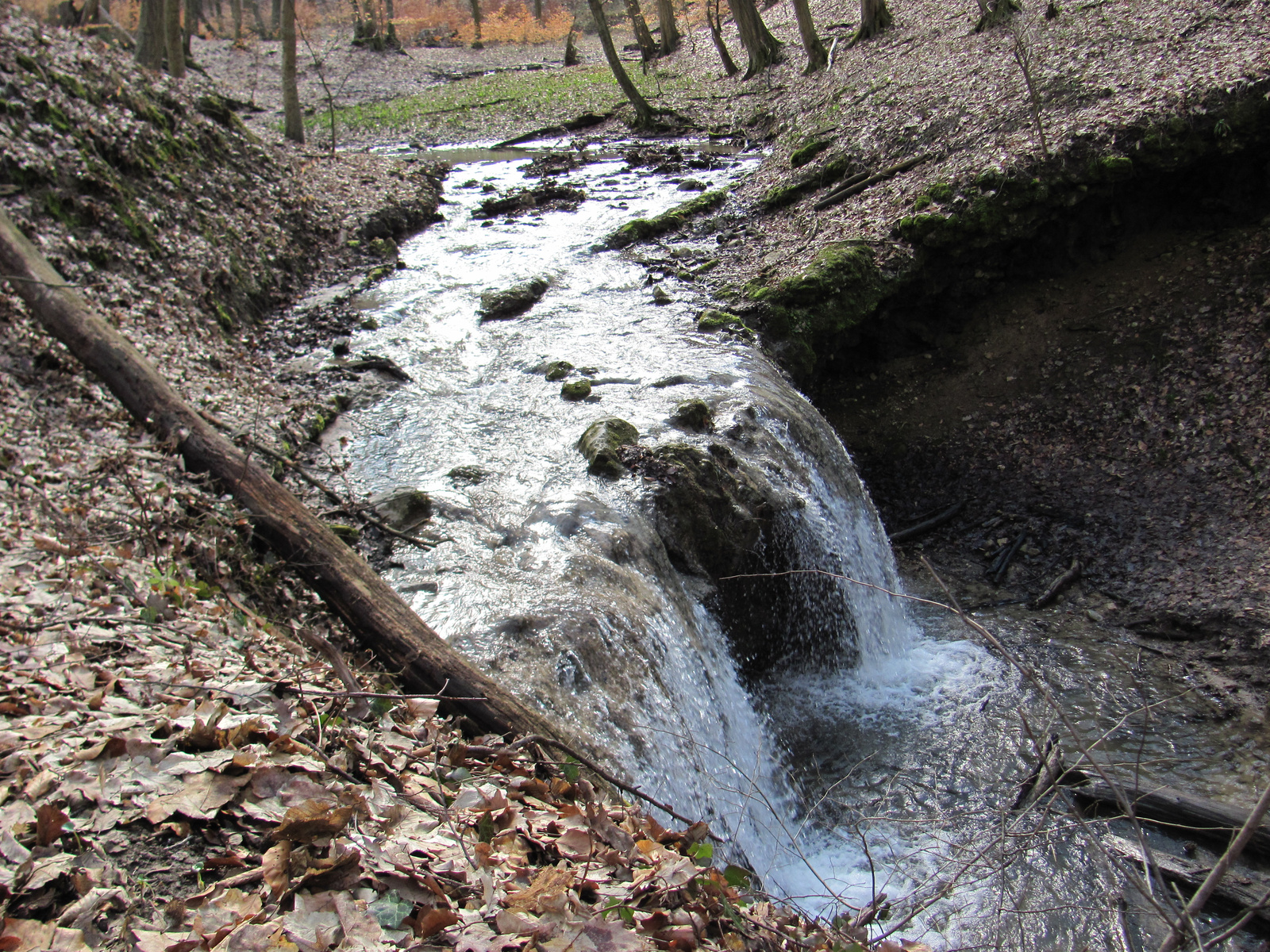 2013.03.02.Melegmány-mély völgy 117