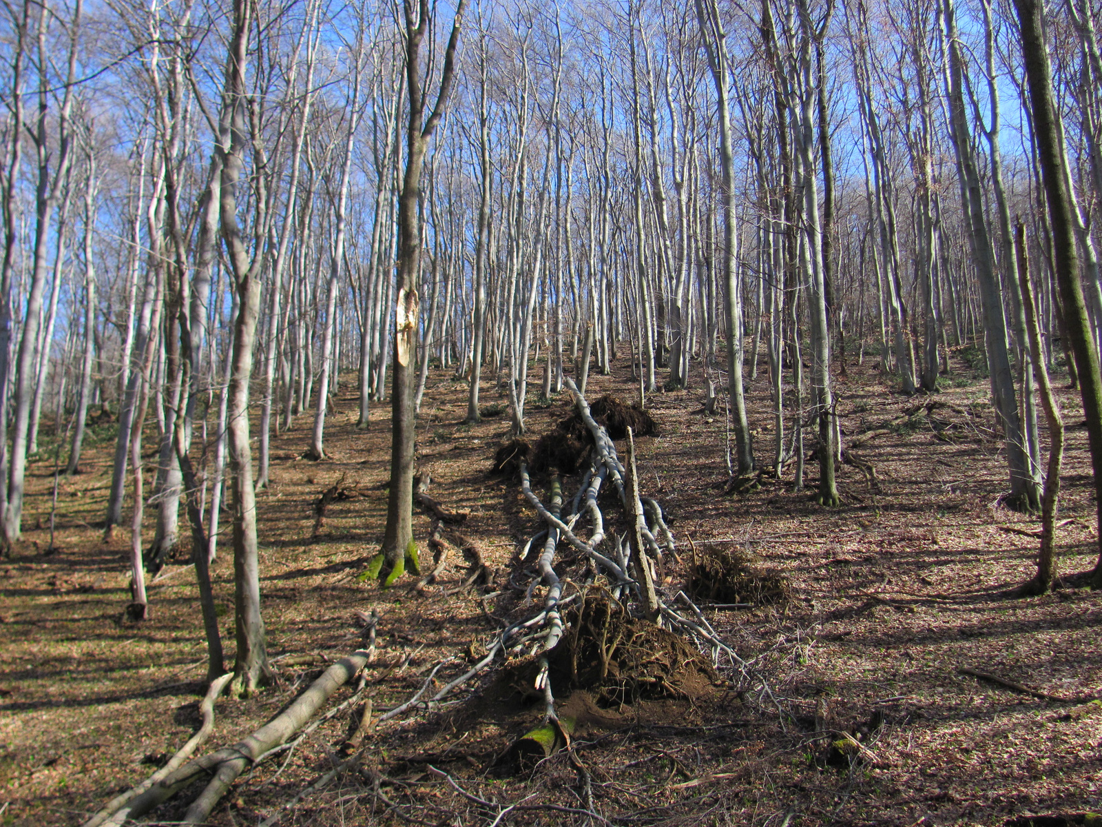 2013.03.02.Melegmány-mély völgy 255