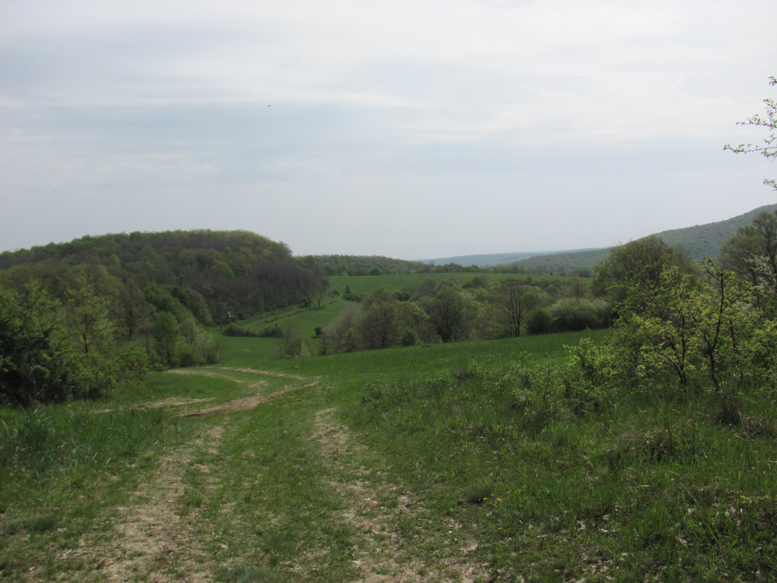 2013.04.27.Mecsek30 032