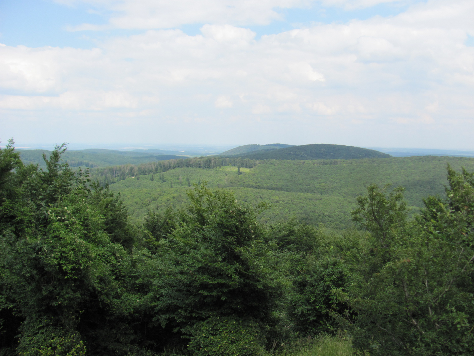 2013.06.29.K.i Mecsek Üveges hétvége (184)