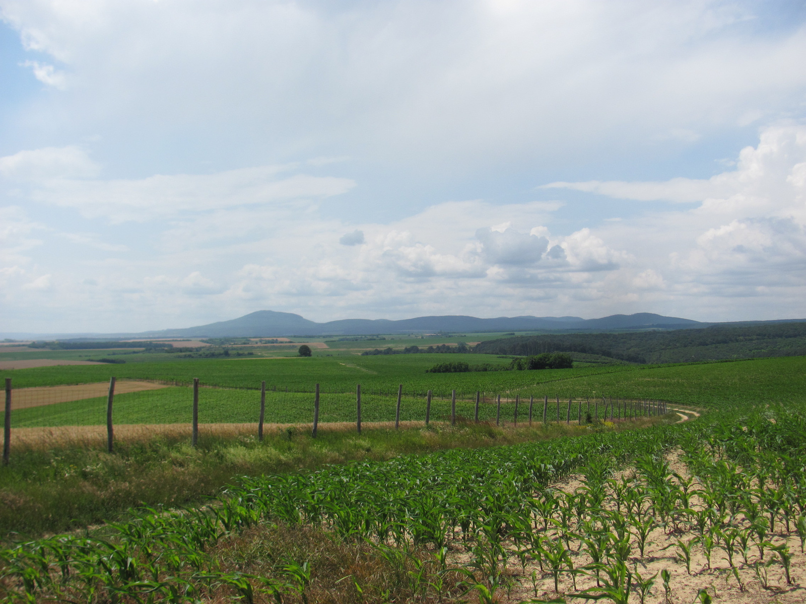 2013.06.30.Geresdi dombság Bicaj Geoláda 140