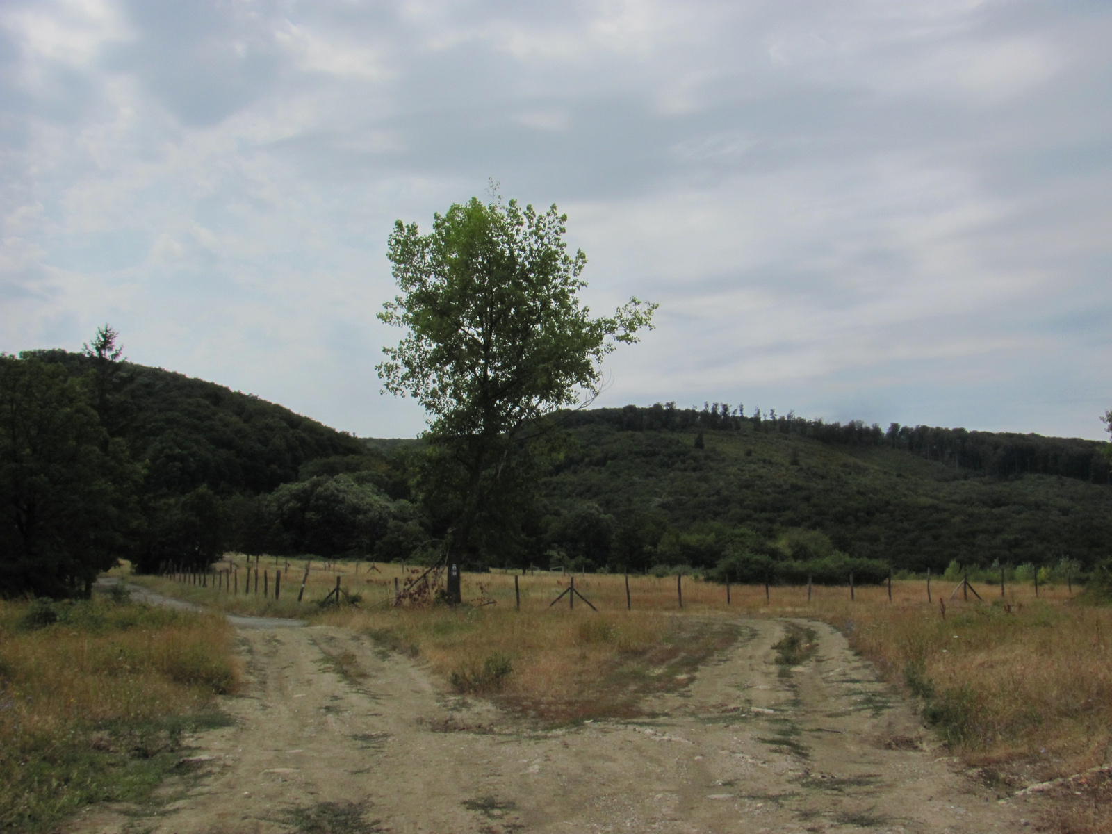 2013.08.10.Vándortáborozók TT 050