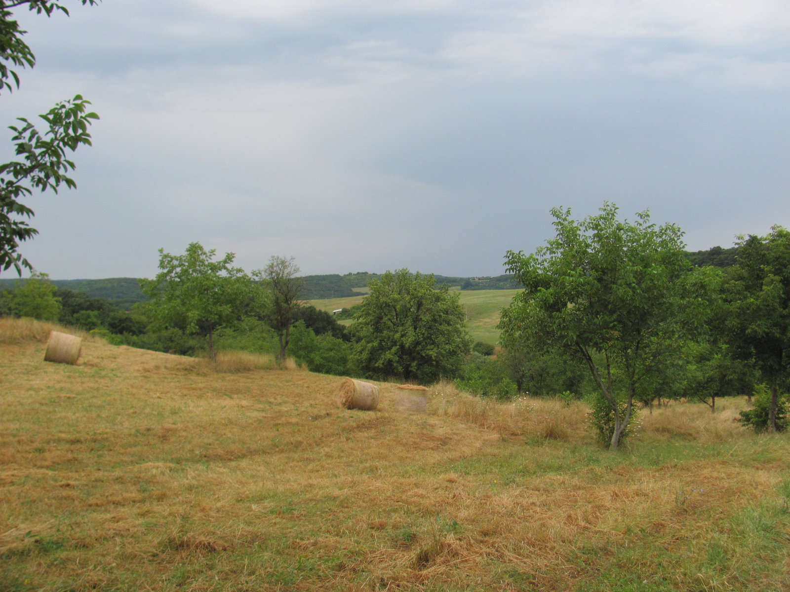 2013.08.10.Vándortáborozók TT 038