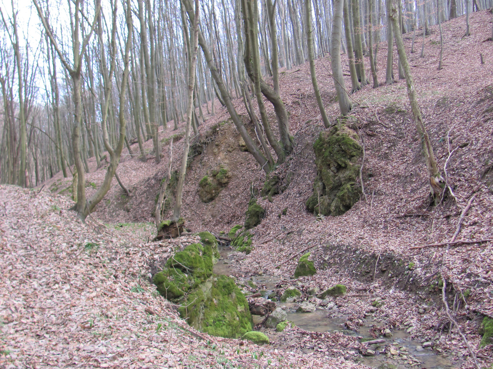 2014.02.16.Büdös kút-Vágot-Lóri-Orfű 082