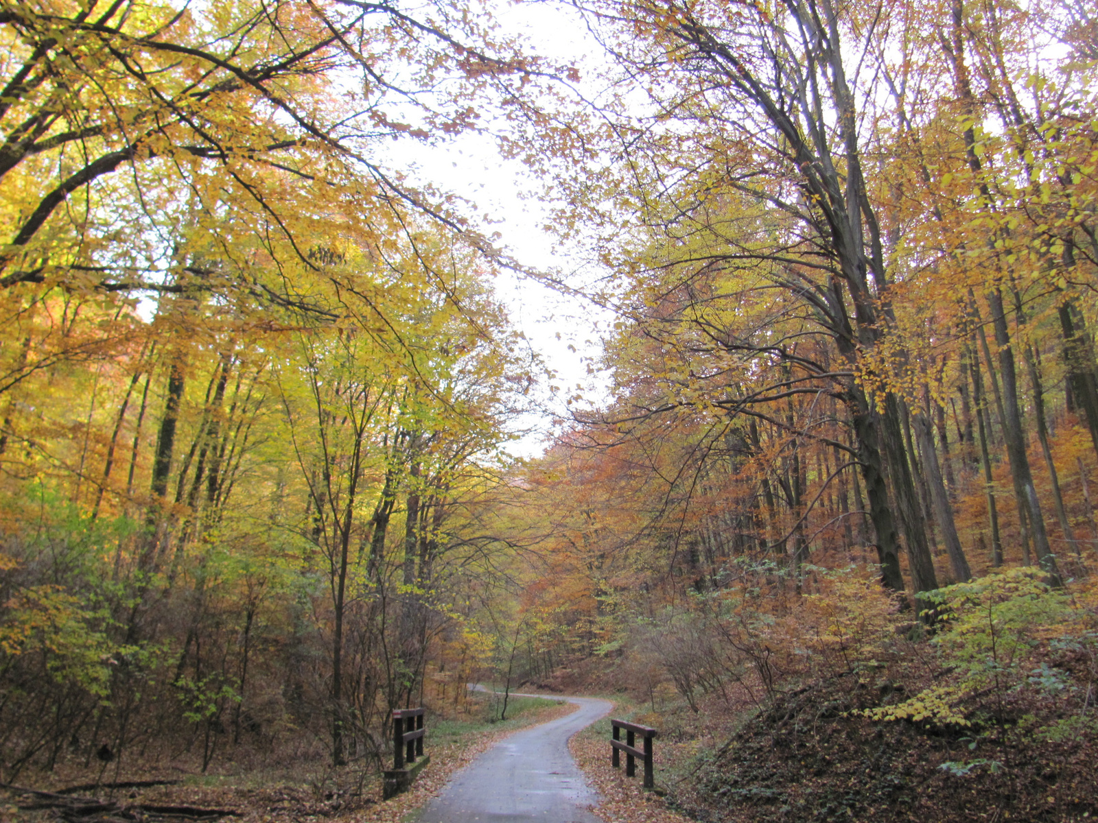 2014.11.08.Mecsek 1000 Teljesítménytúra 108