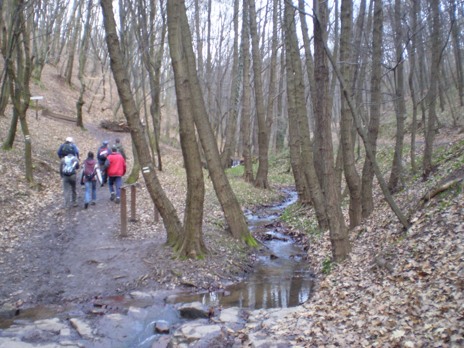 20090315Szuadó40 Bejárás