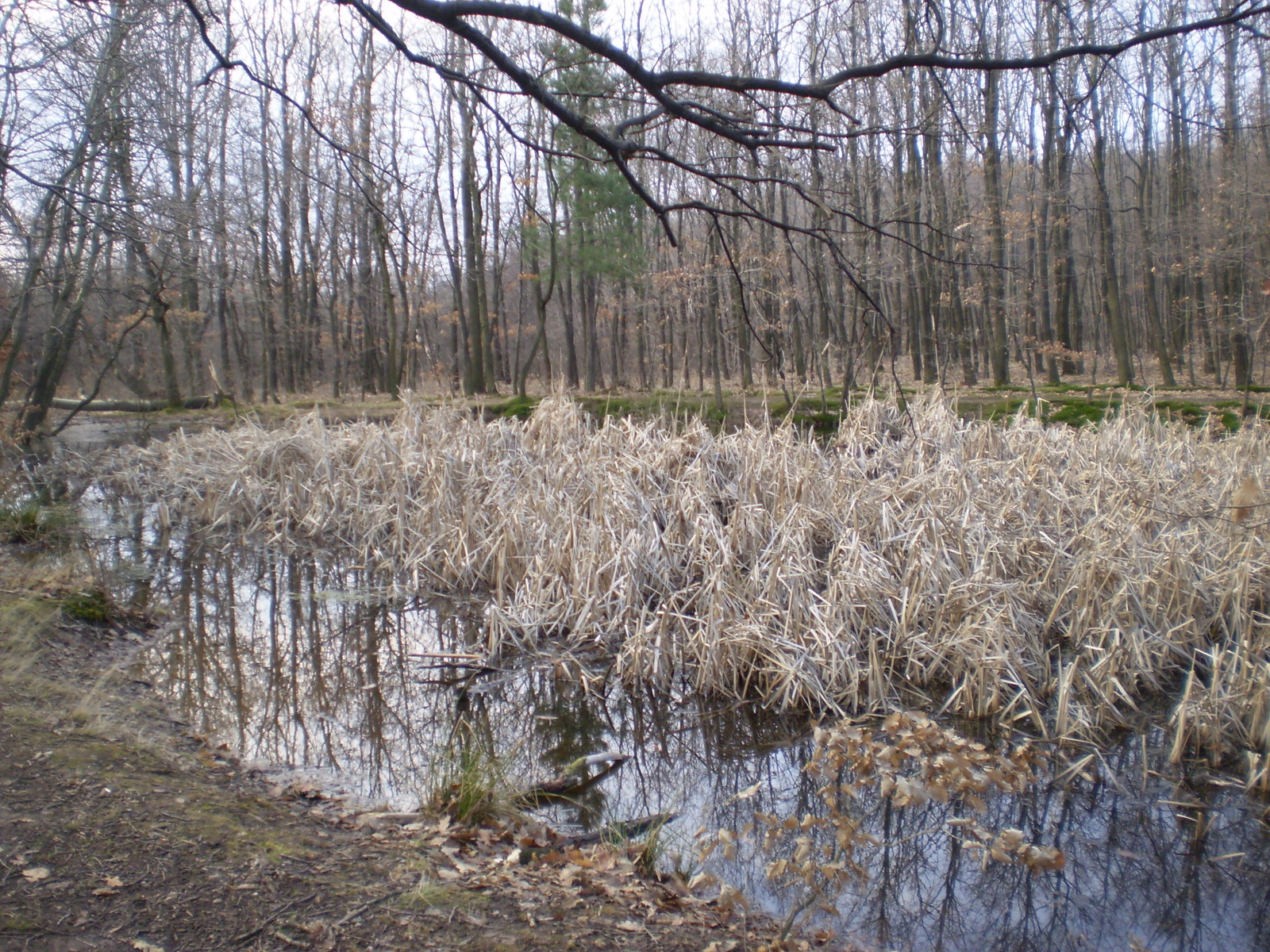 Éger tető 20090315