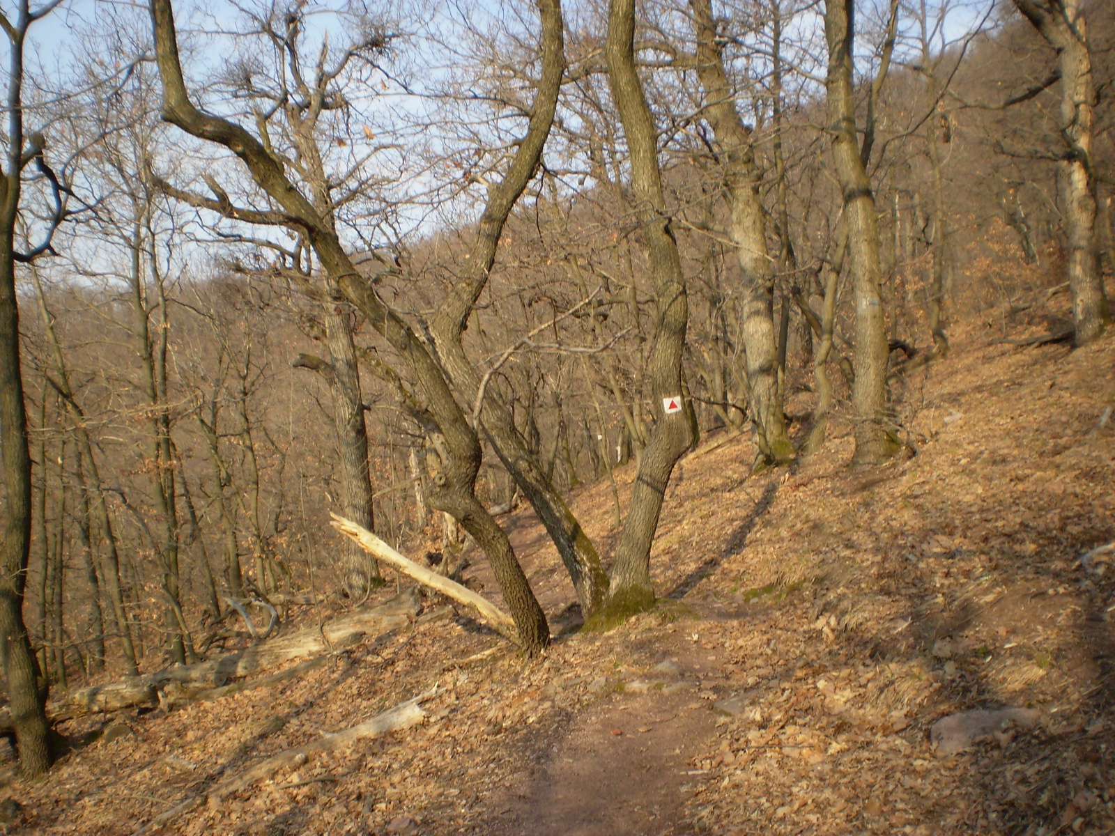 Panoráma úton a Jakab hegyen