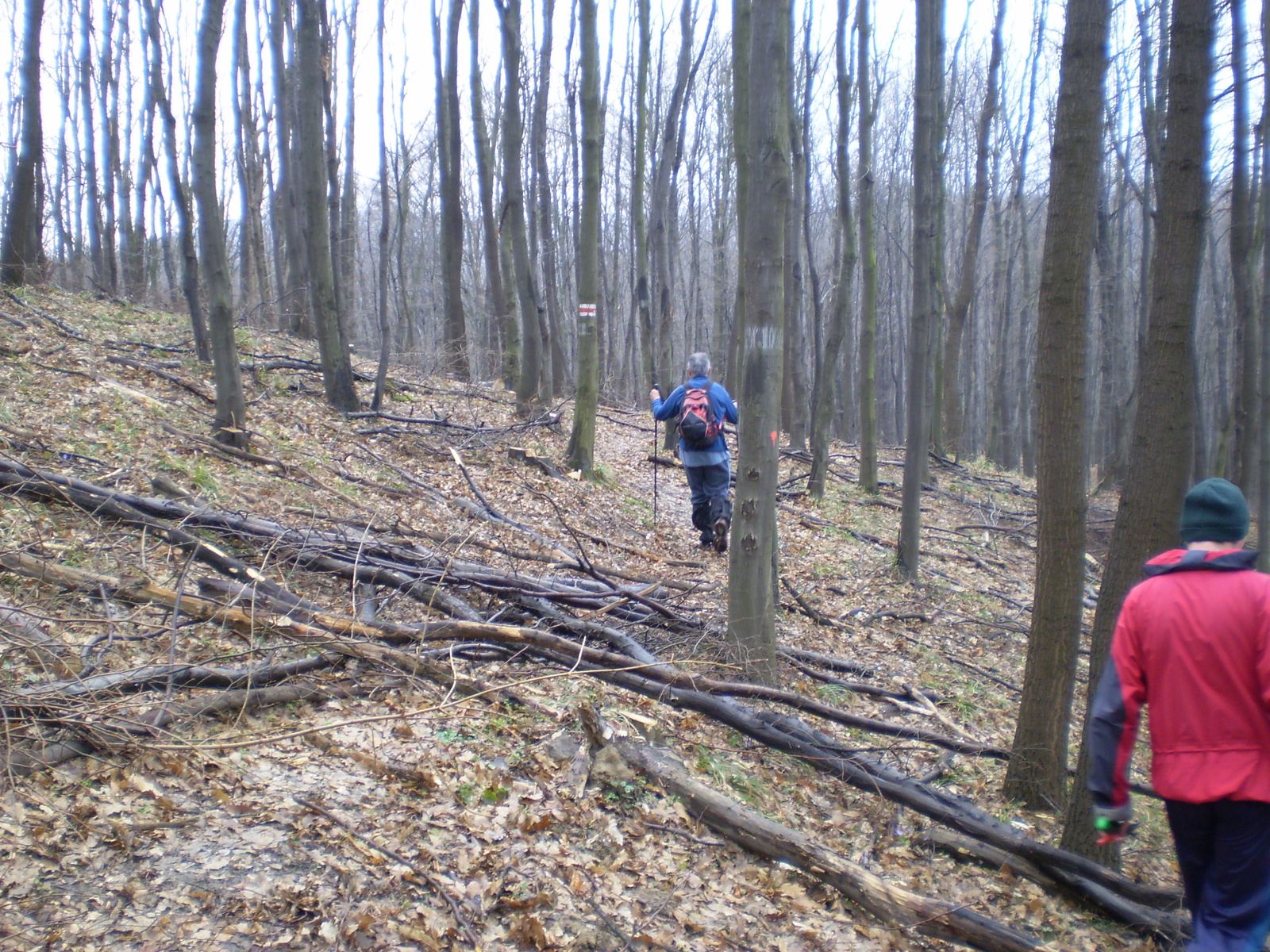 20090315Szuadó40 Bejárás 134