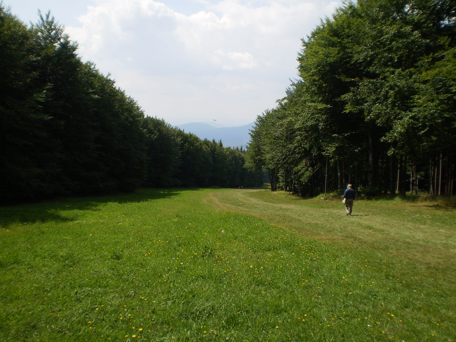 2009.08.15,Kékesről Mátraháza felé