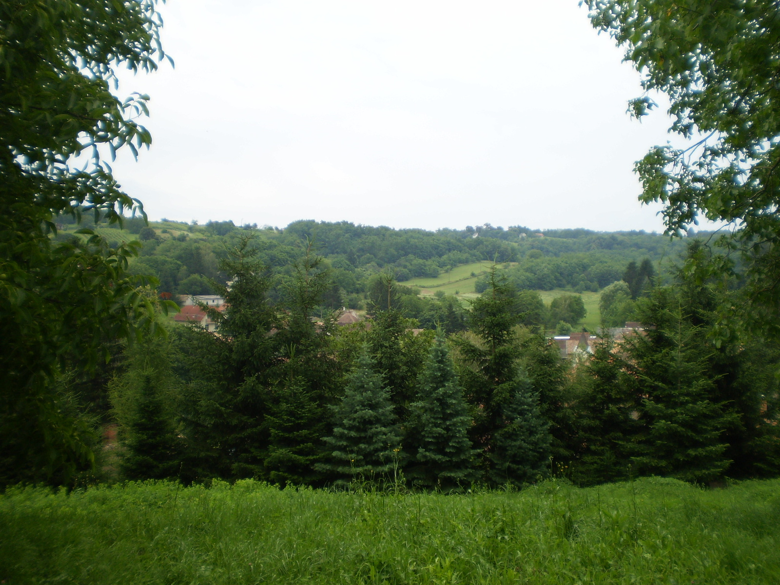 20100626-27 Zalaegerszeg 004