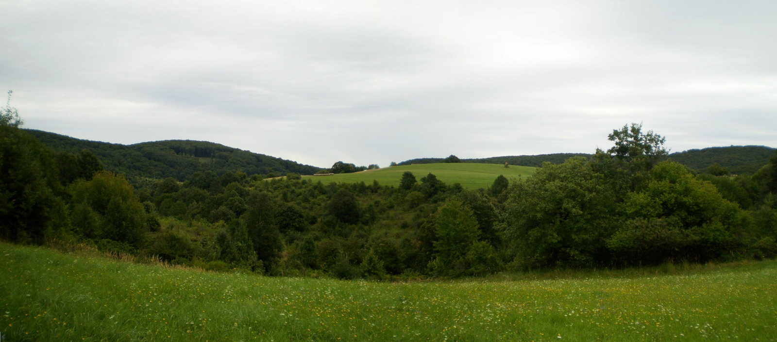 20100828 miske tető1