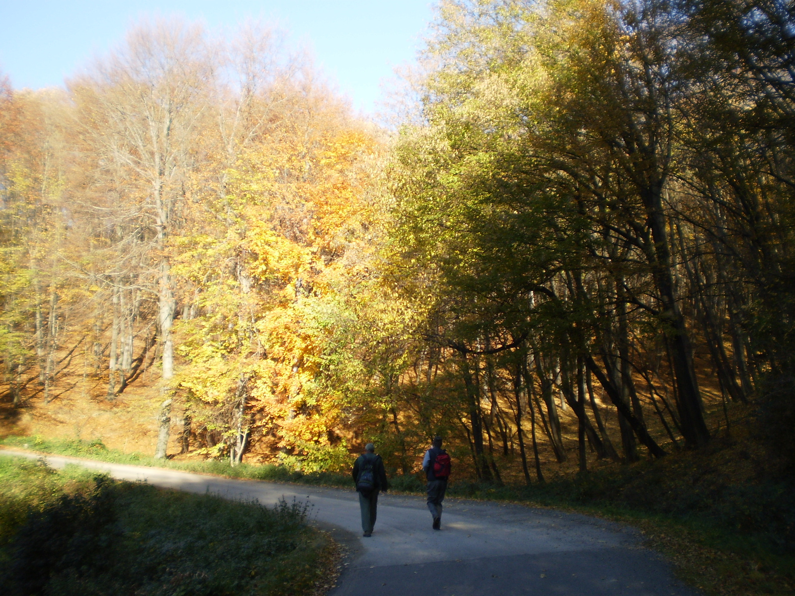 20101030Zobák-Pécsvárad 047