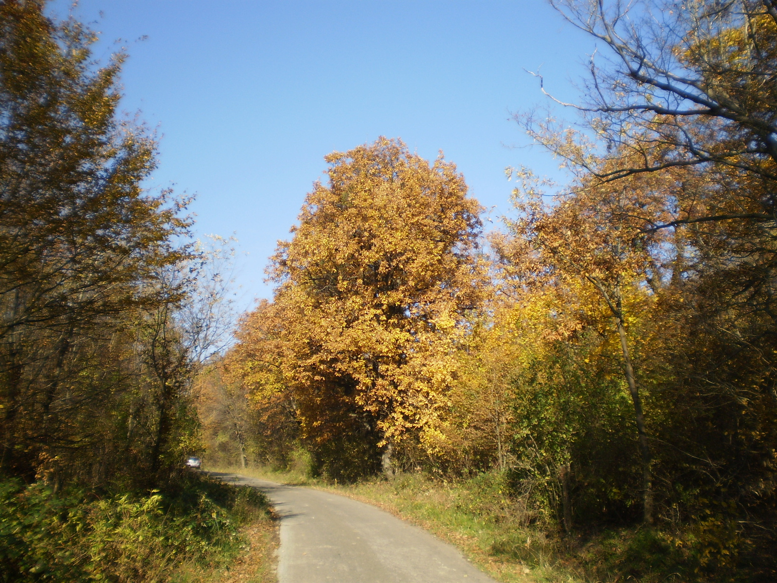 20101030Zobák-Pécsvárad 134